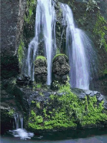 Garden in Beautiful Japanese Garden Kagetsu