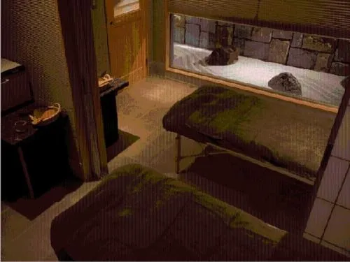 Spa and wellness centre/facilities, Bed in Beautiful Japanese Garden Kagetsu