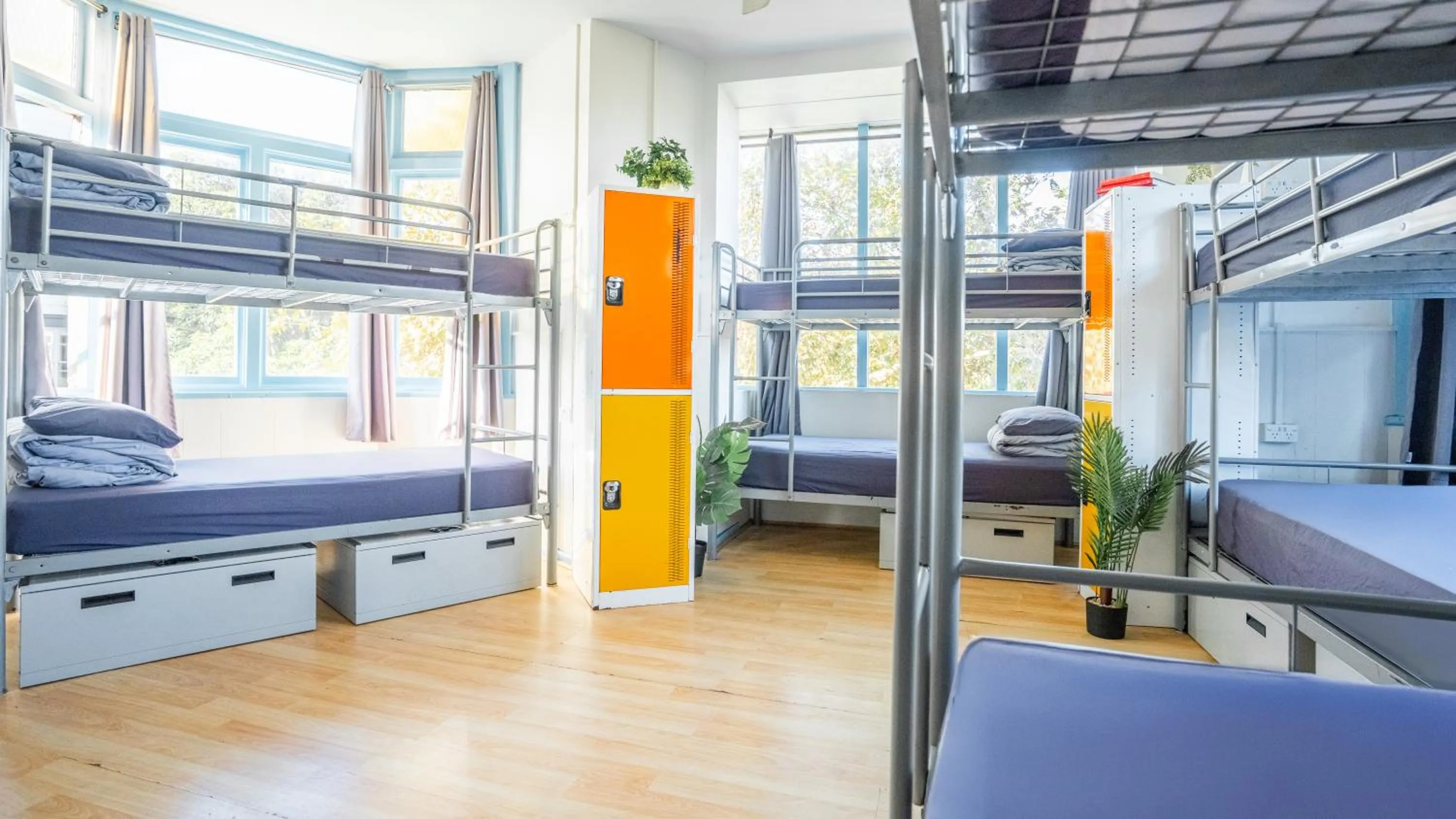 Photo of the whole room, Bed in Mad Monkey Bayswater