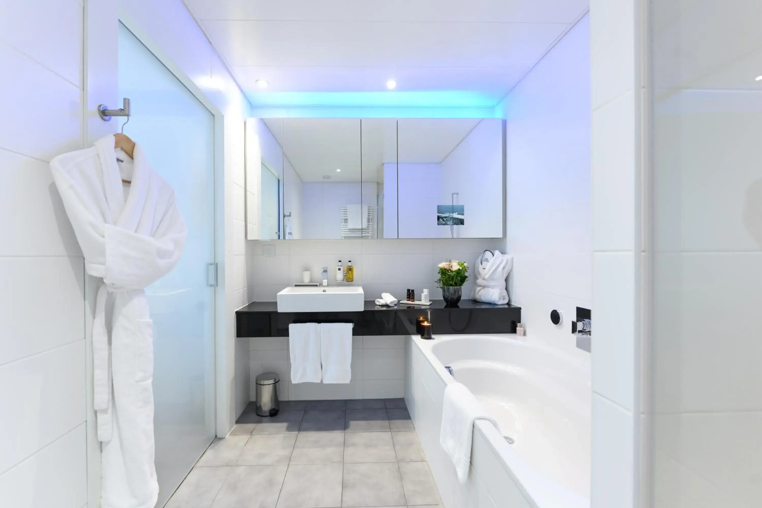 One-Bedroom Apartment in Swiss Luxury Apartments Geneva One-Bedroom Apartment in Swiss Luxury Apartments Geneva