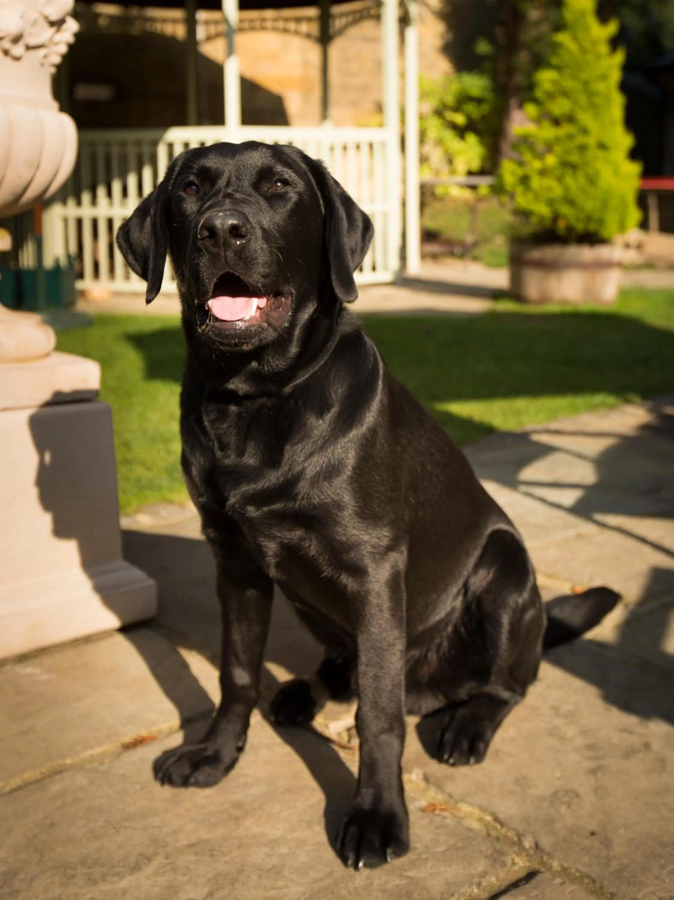 The Inn at Fossebridge