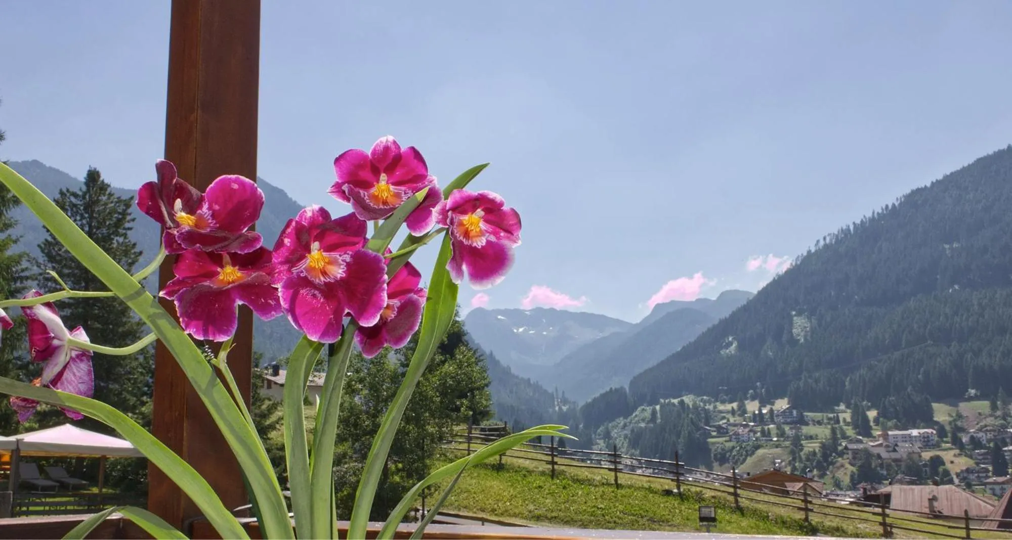 Spring in Hotel Patrizia Dolomites Glamour