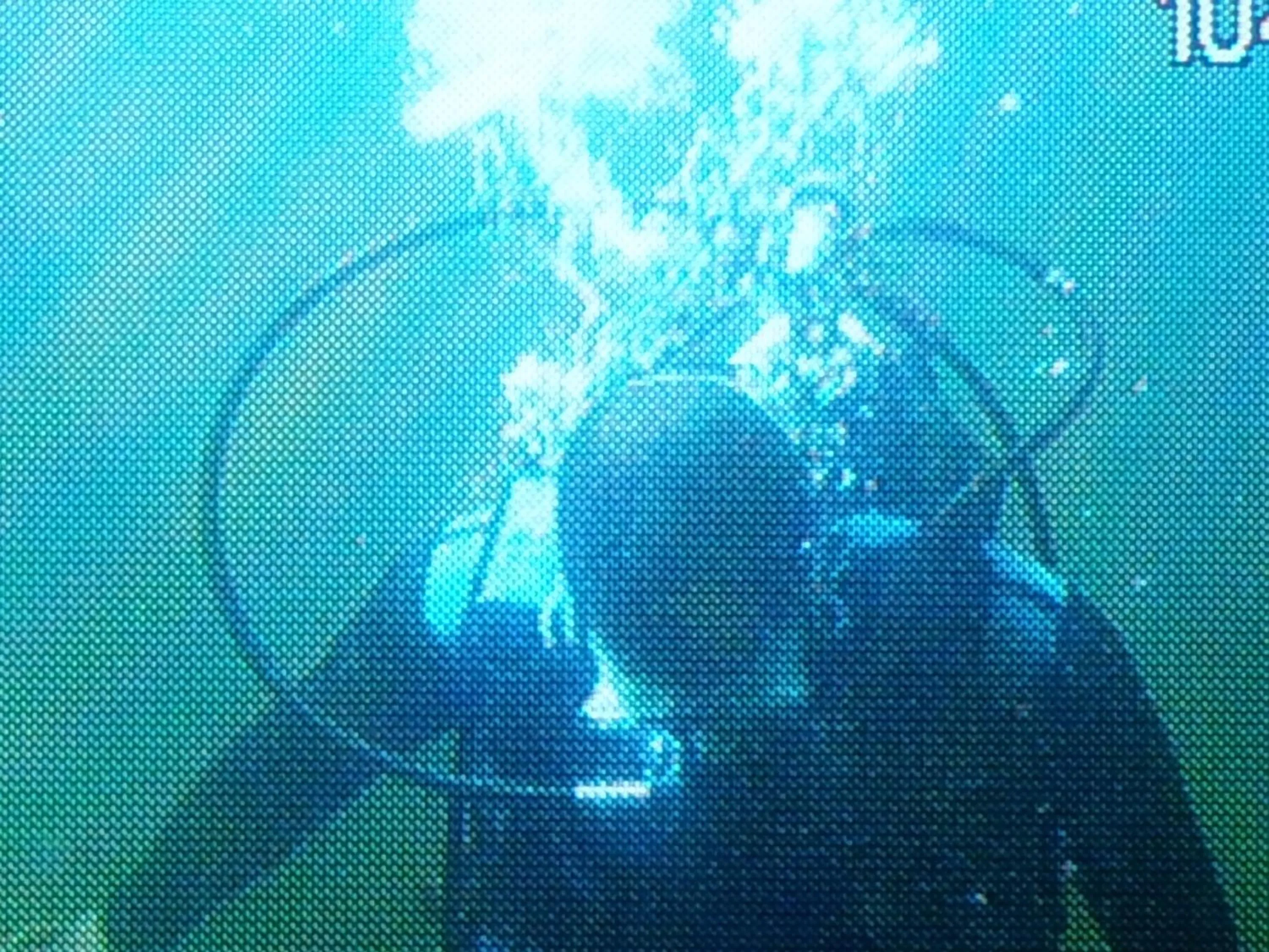 Diving in Thaba Tsweni Lodge & Safaris