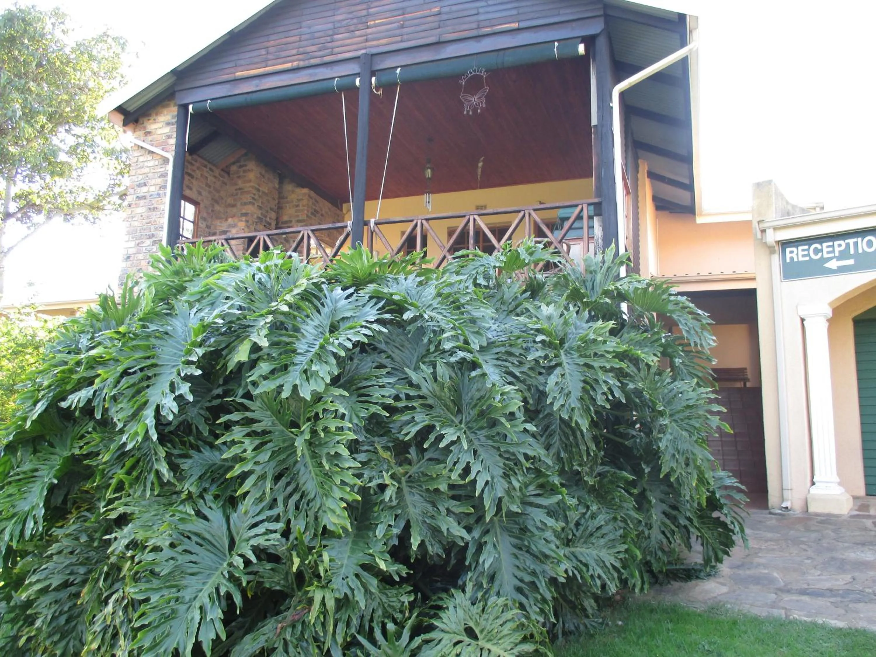 Decorative detail in Thaba Tsweni Lodge & Safaris