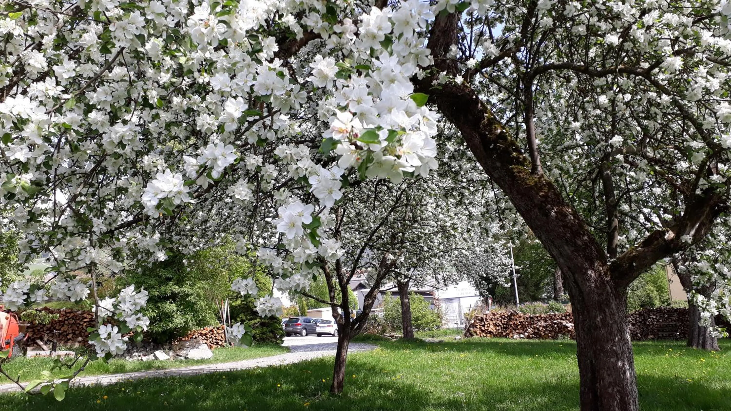 Garden in Ferienwohnung Veit