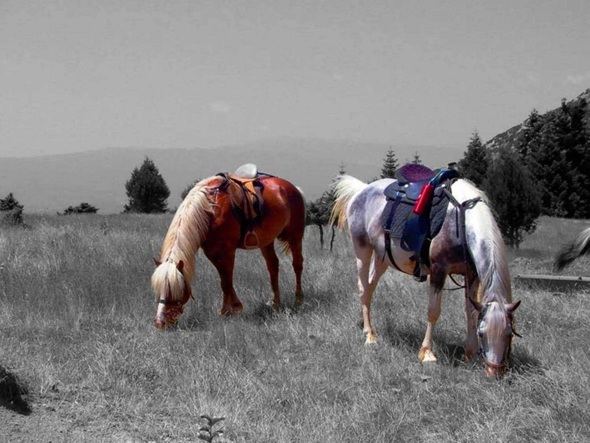 Horse-riding in Kalliopi