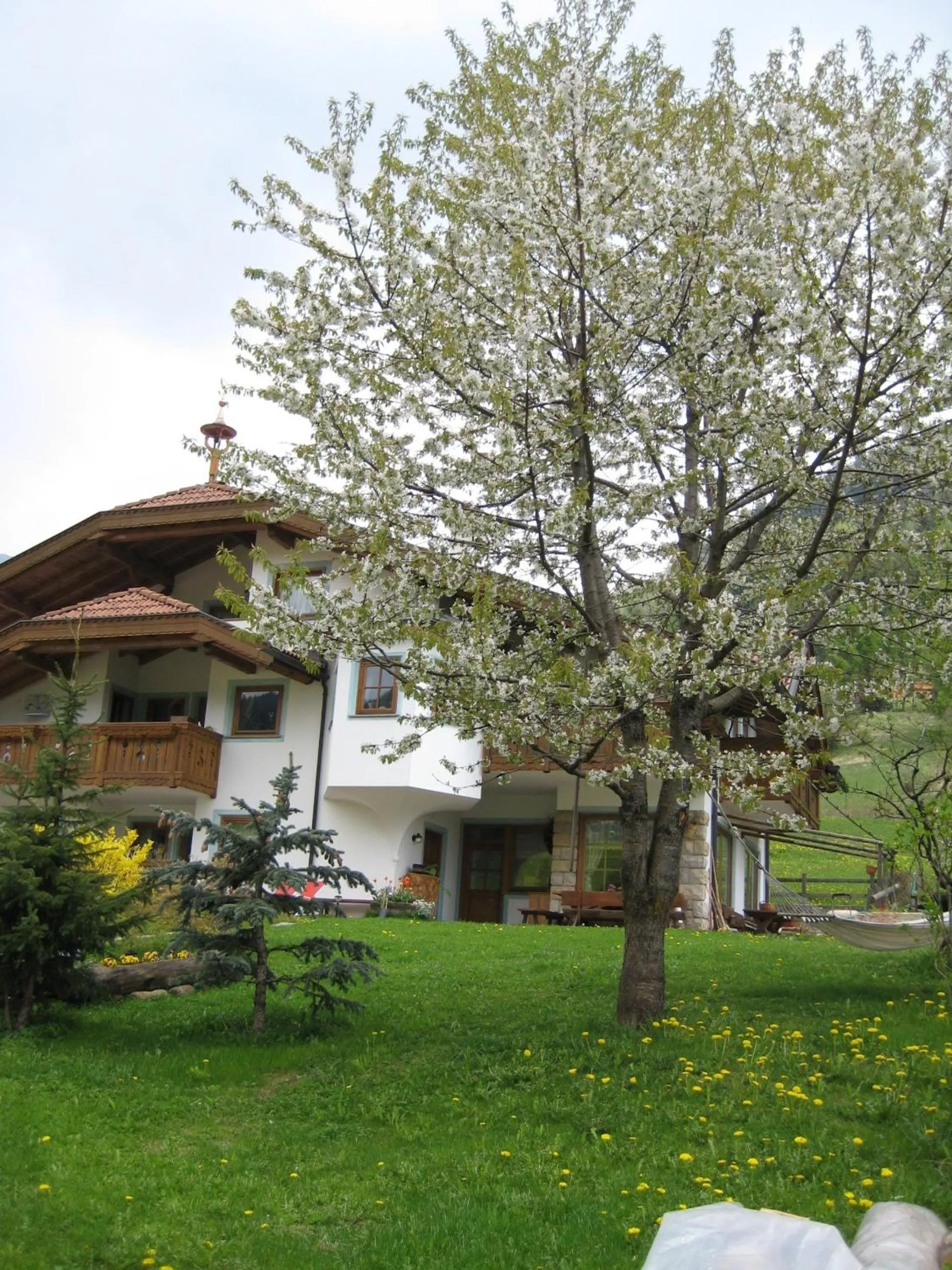 B&B Ciasa Weber