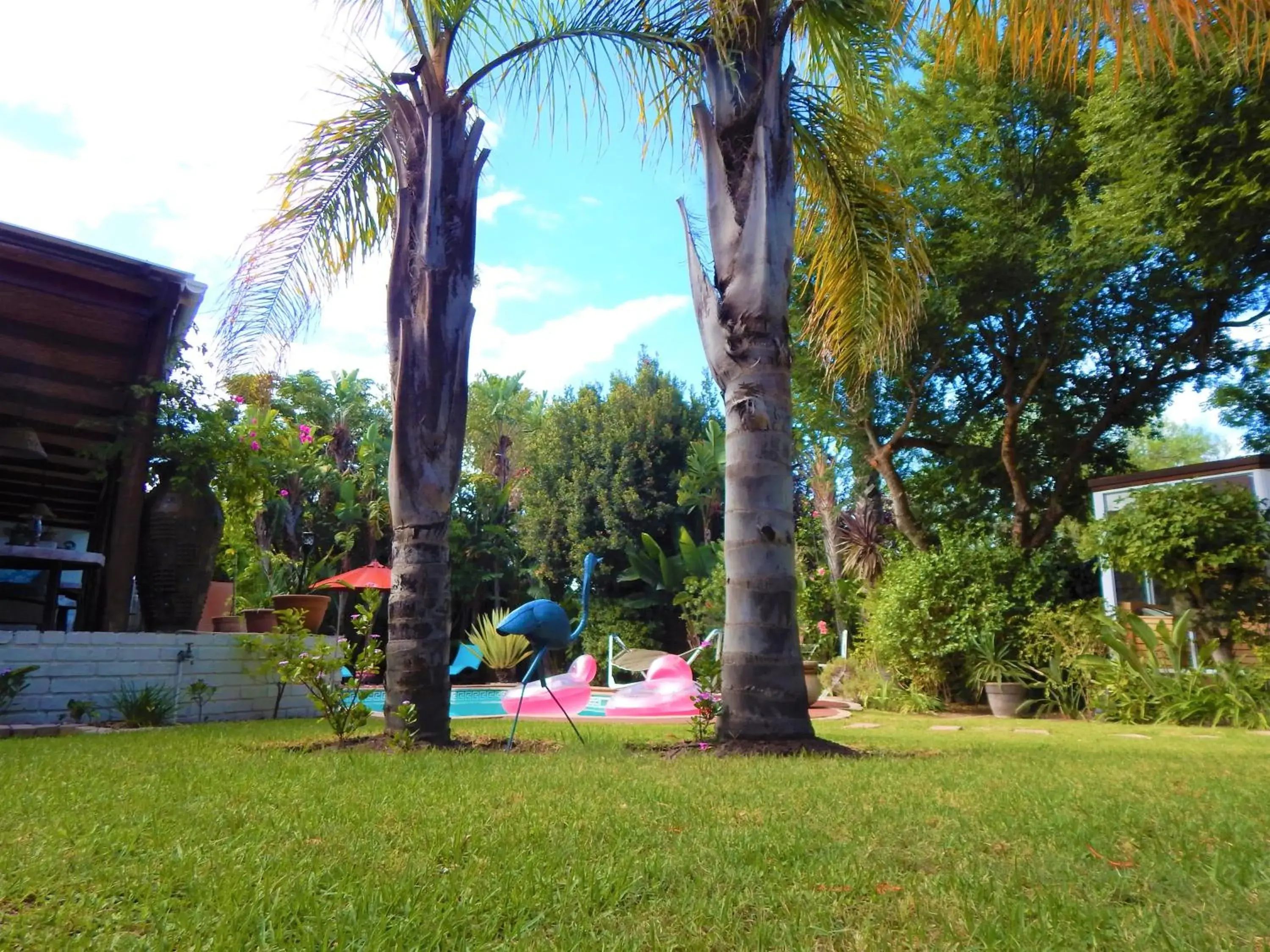 Garden view in Khashamongo B & B Garden view in Khashamongo B & B