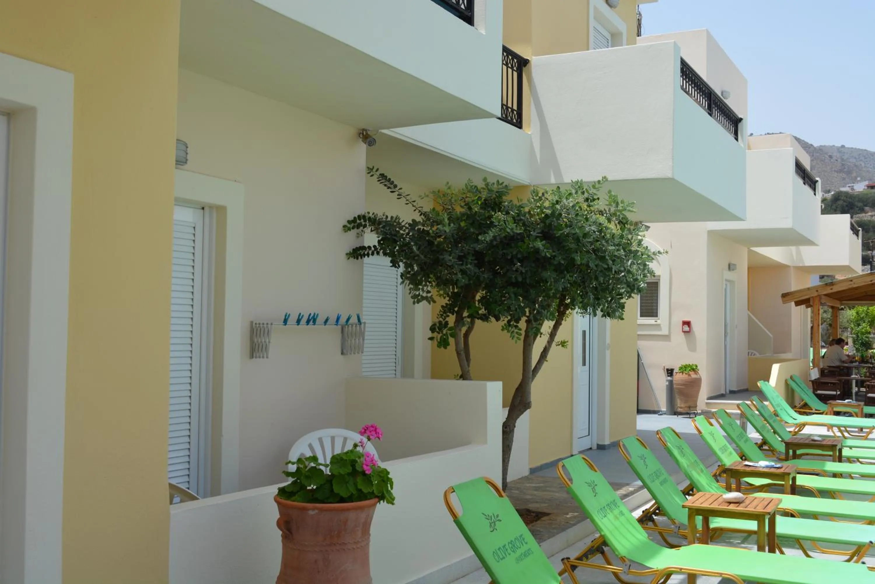Olive Grove Apartments