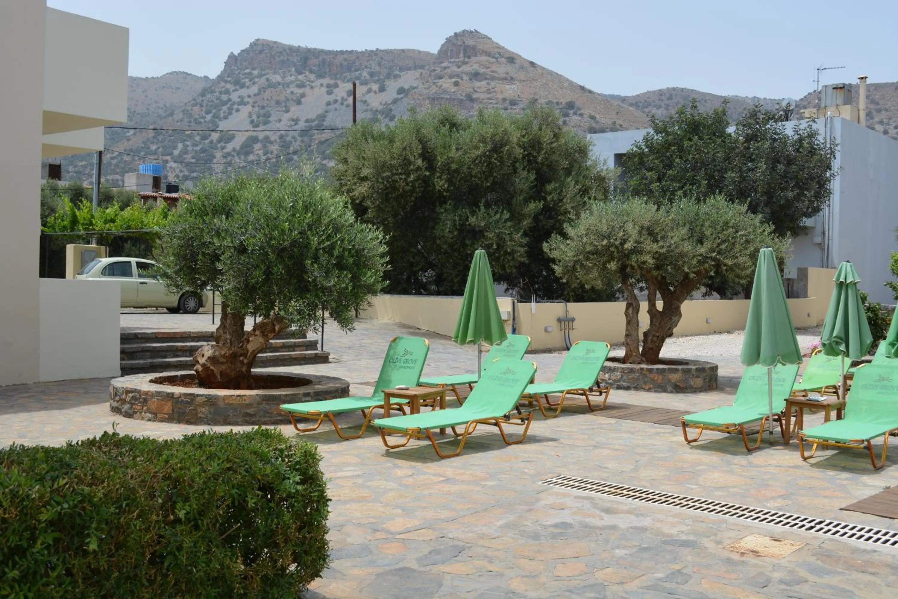 Olive Grove Apartments
