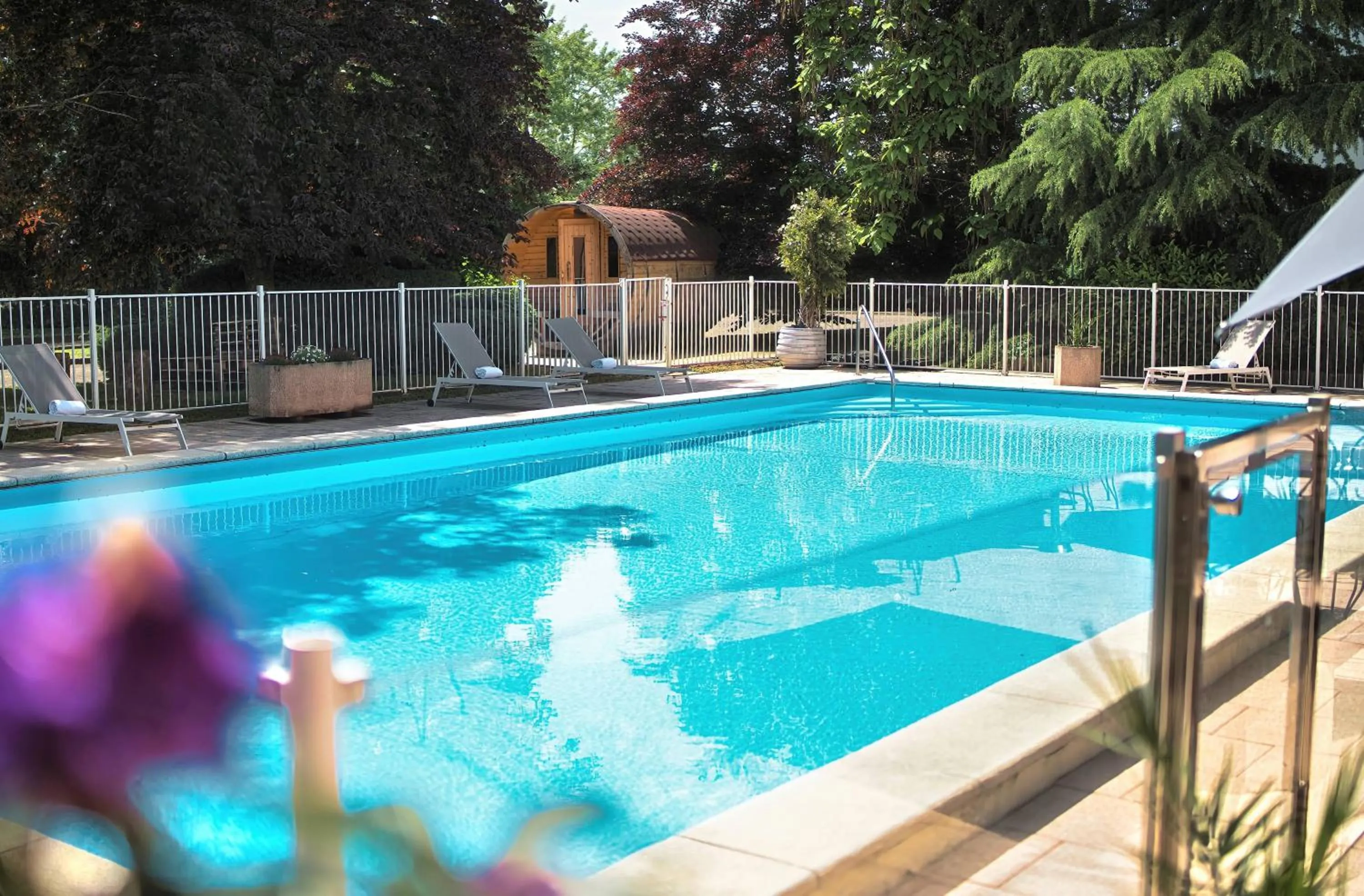 Swimming pool in Kyriad Prestige Mulhouse - Basel