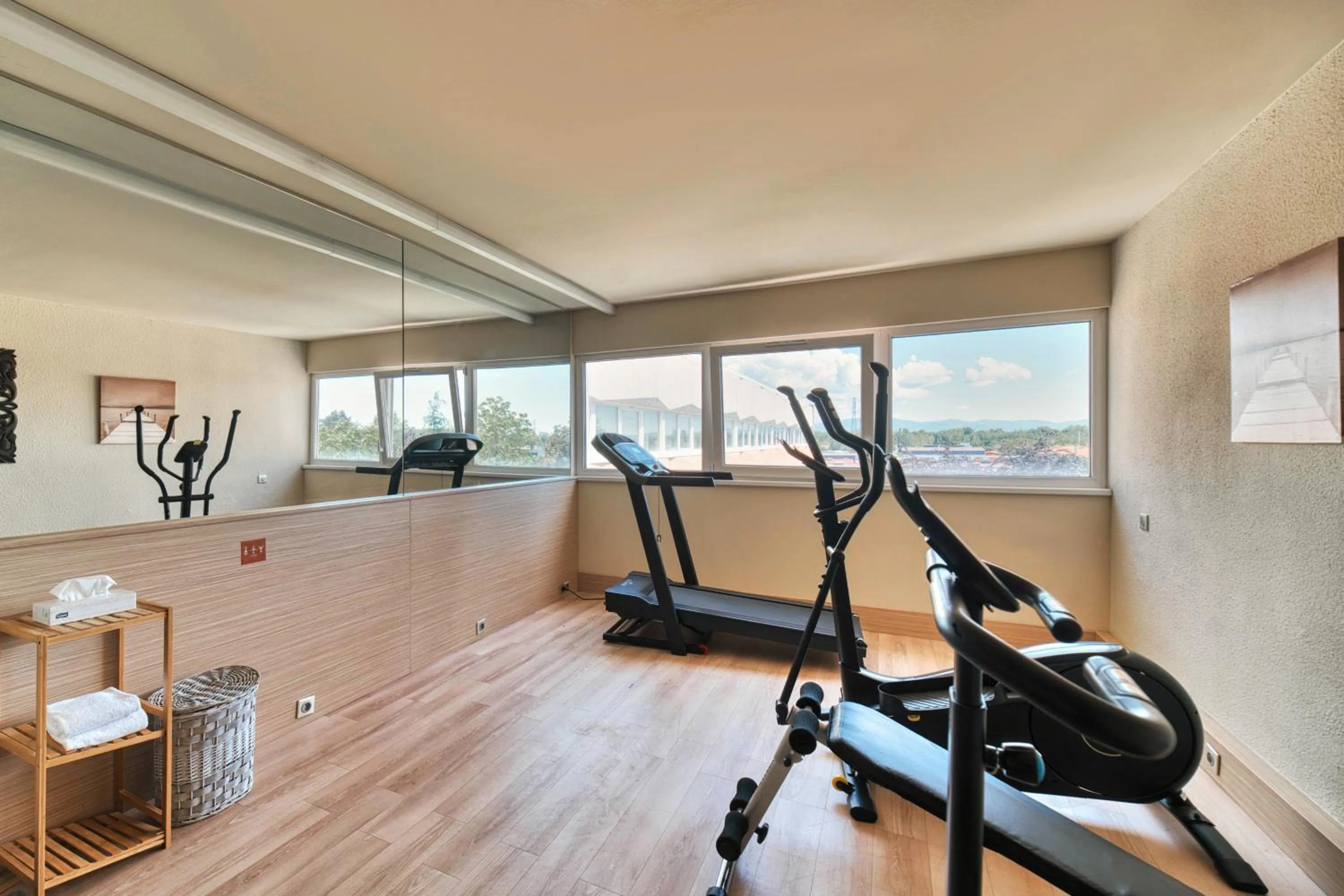 Fitness centre/facilities in Kyriad Prestige Mulhouse - Basel