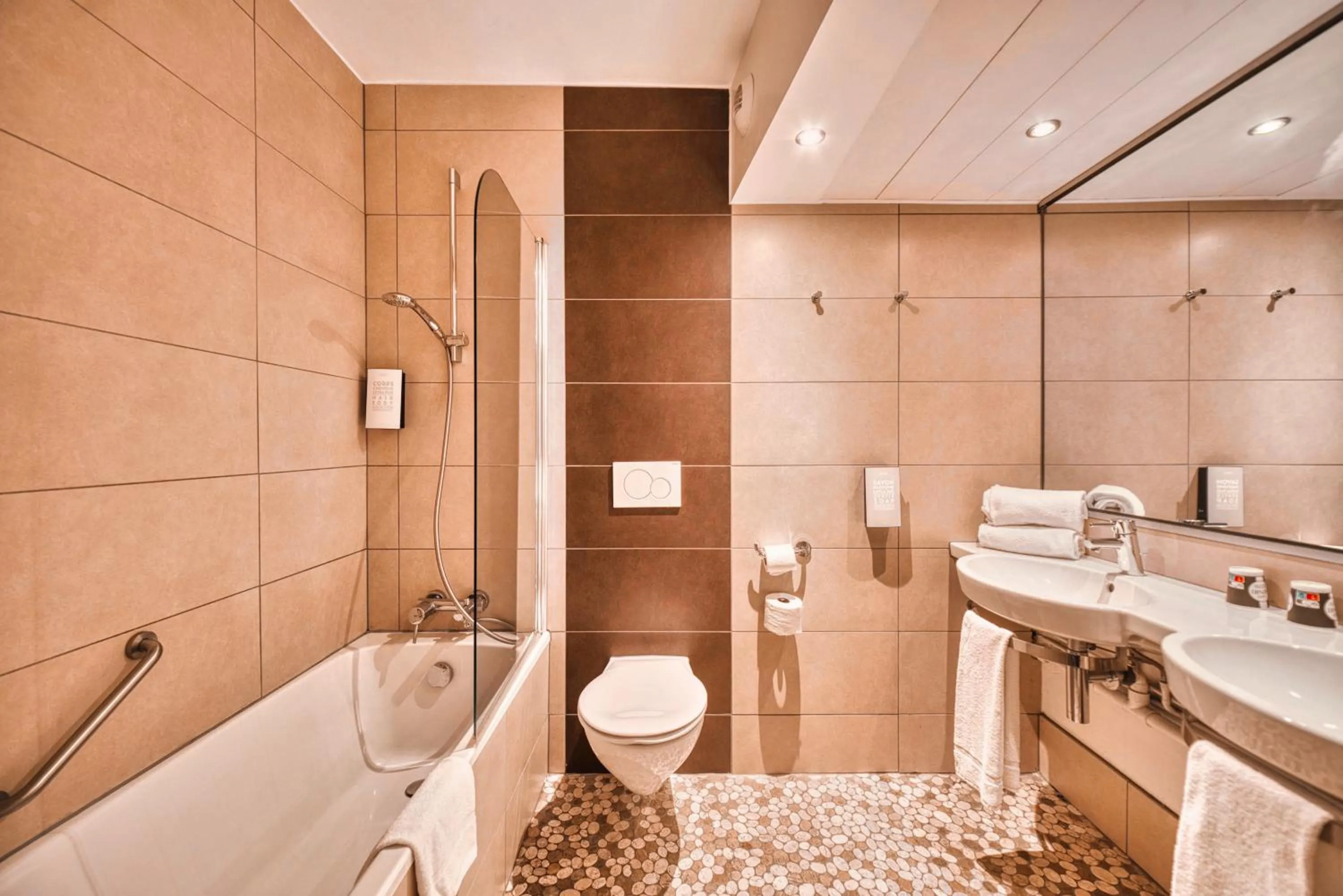 Kyriad Prestige Mulhouse - Basel