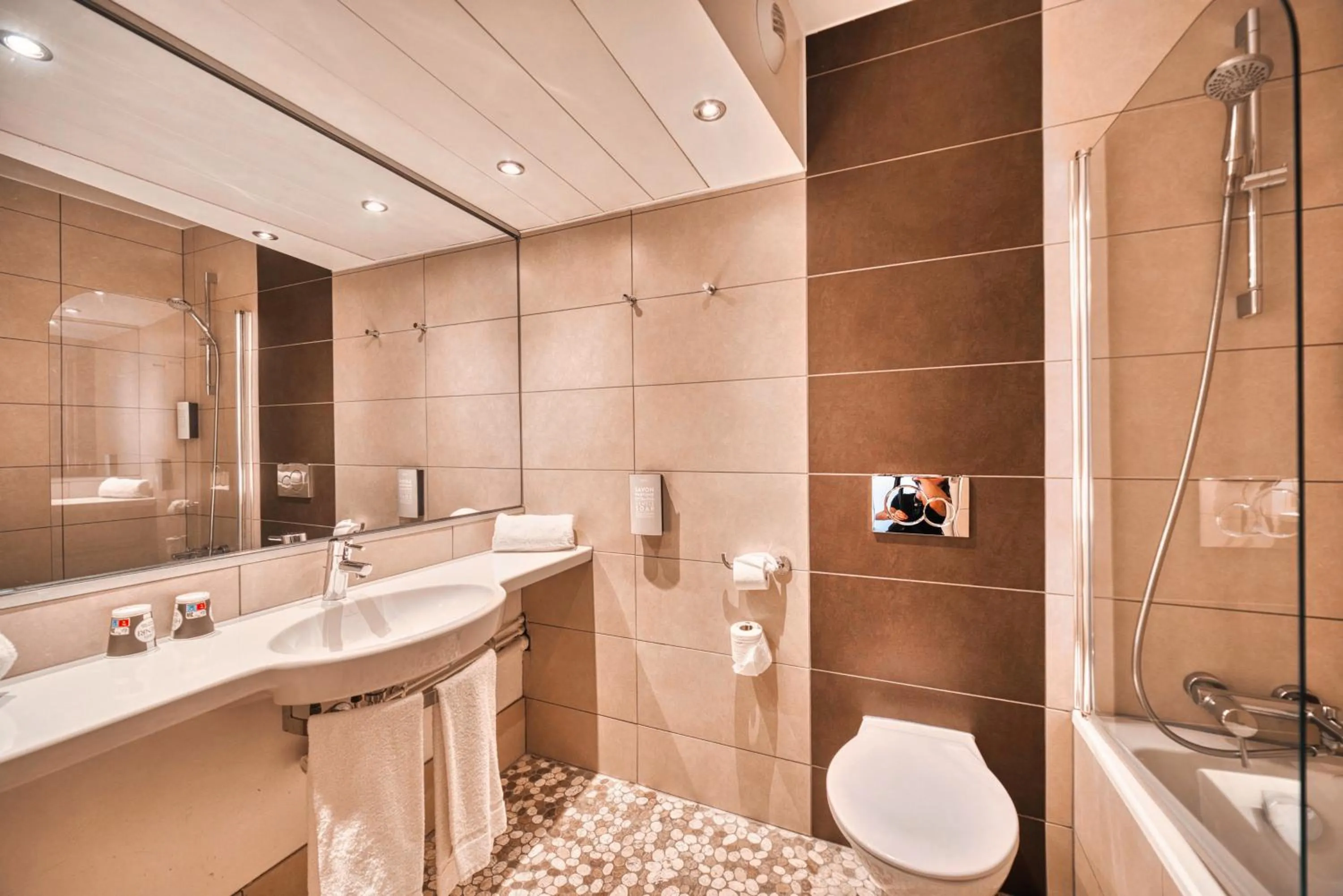Bathroom in Kyriad Prestige Mulhouse - Basel