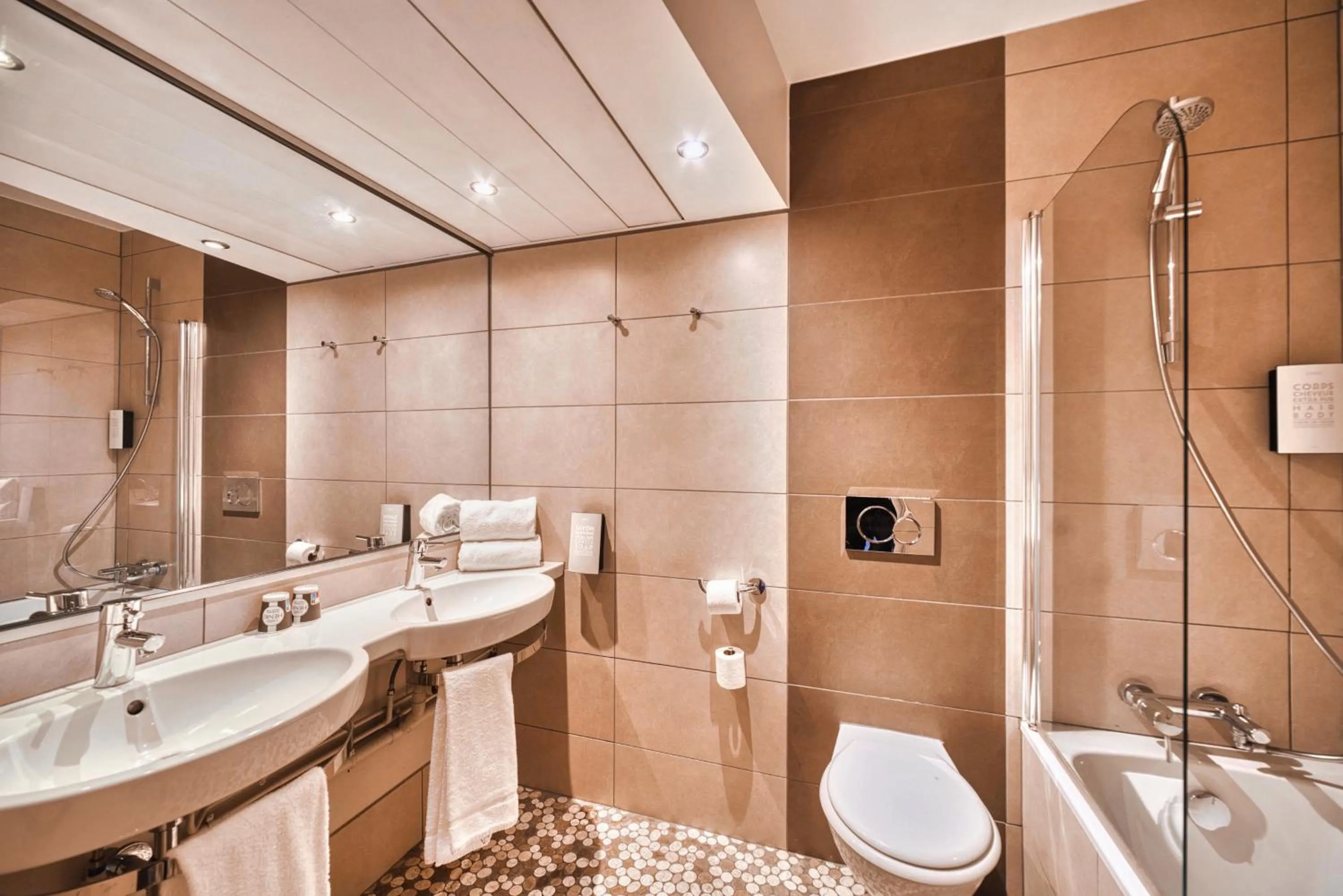 Bathroom in Kyriad Prestige Mulhouse - Basel