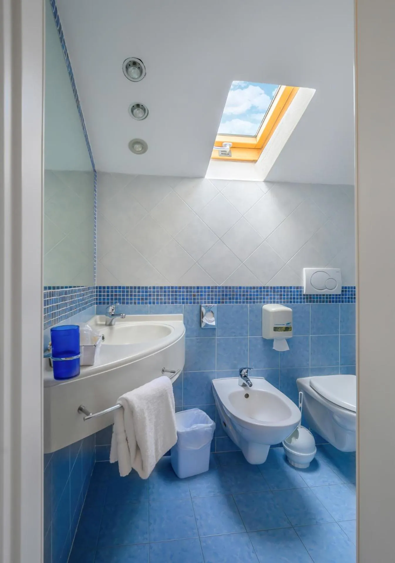 Toilet in Hotel Acquamarina