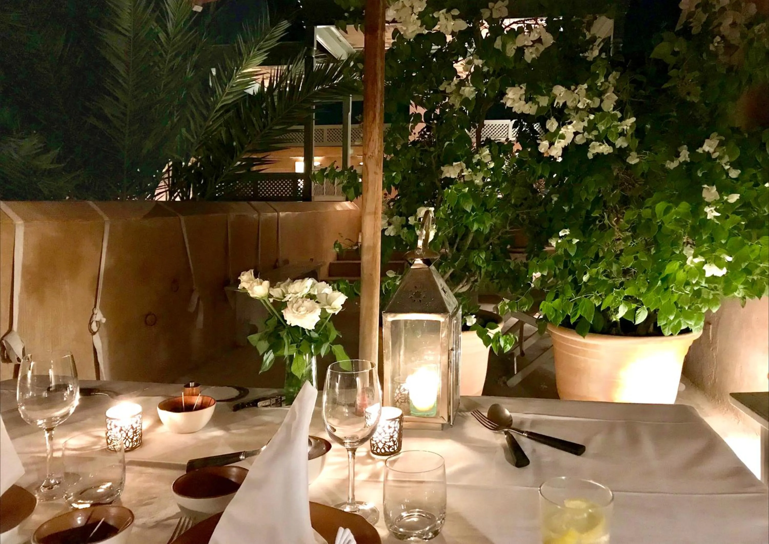 Garden in Dar Housnia