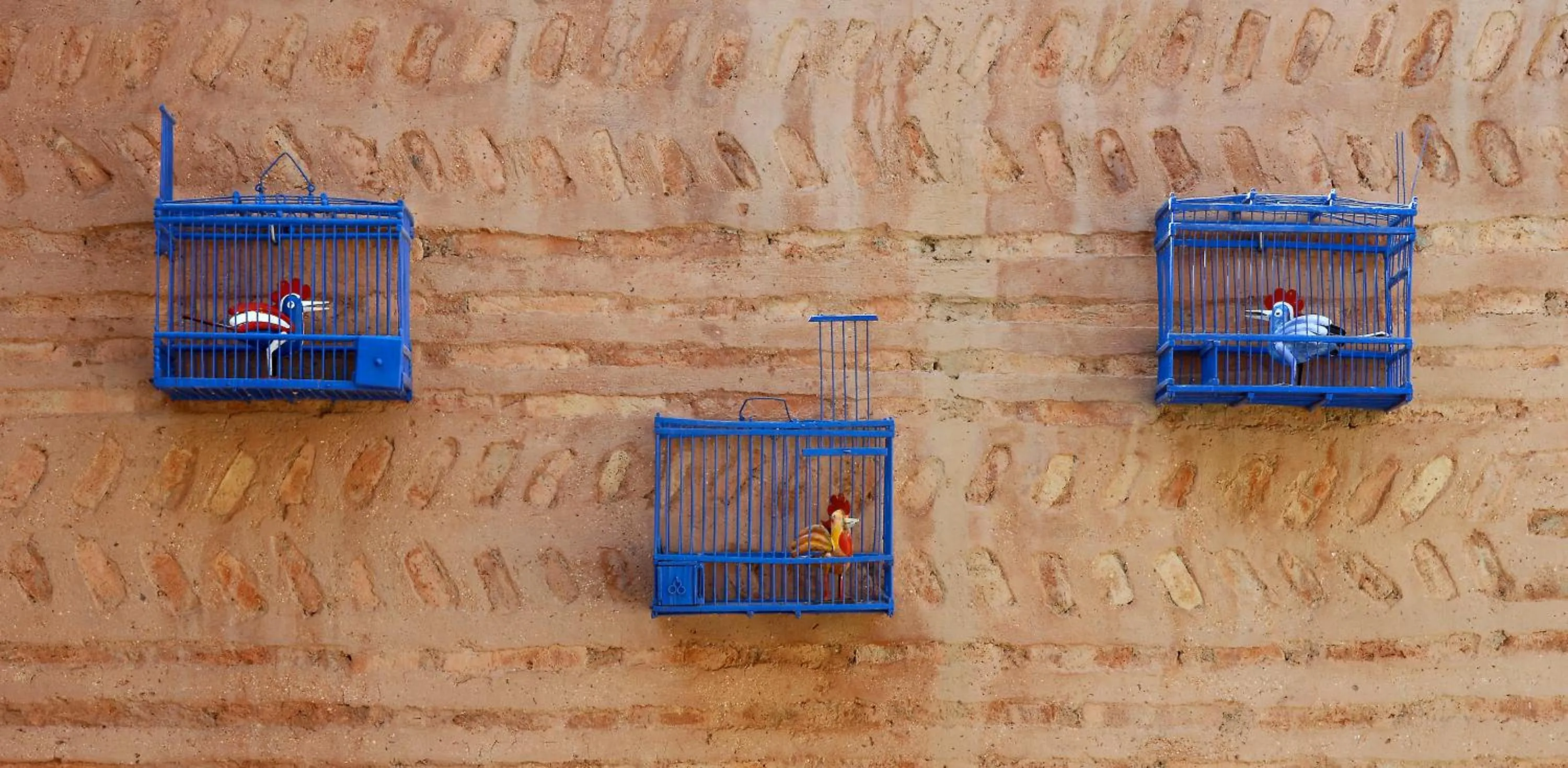 Swimming pool in Dar Housnia