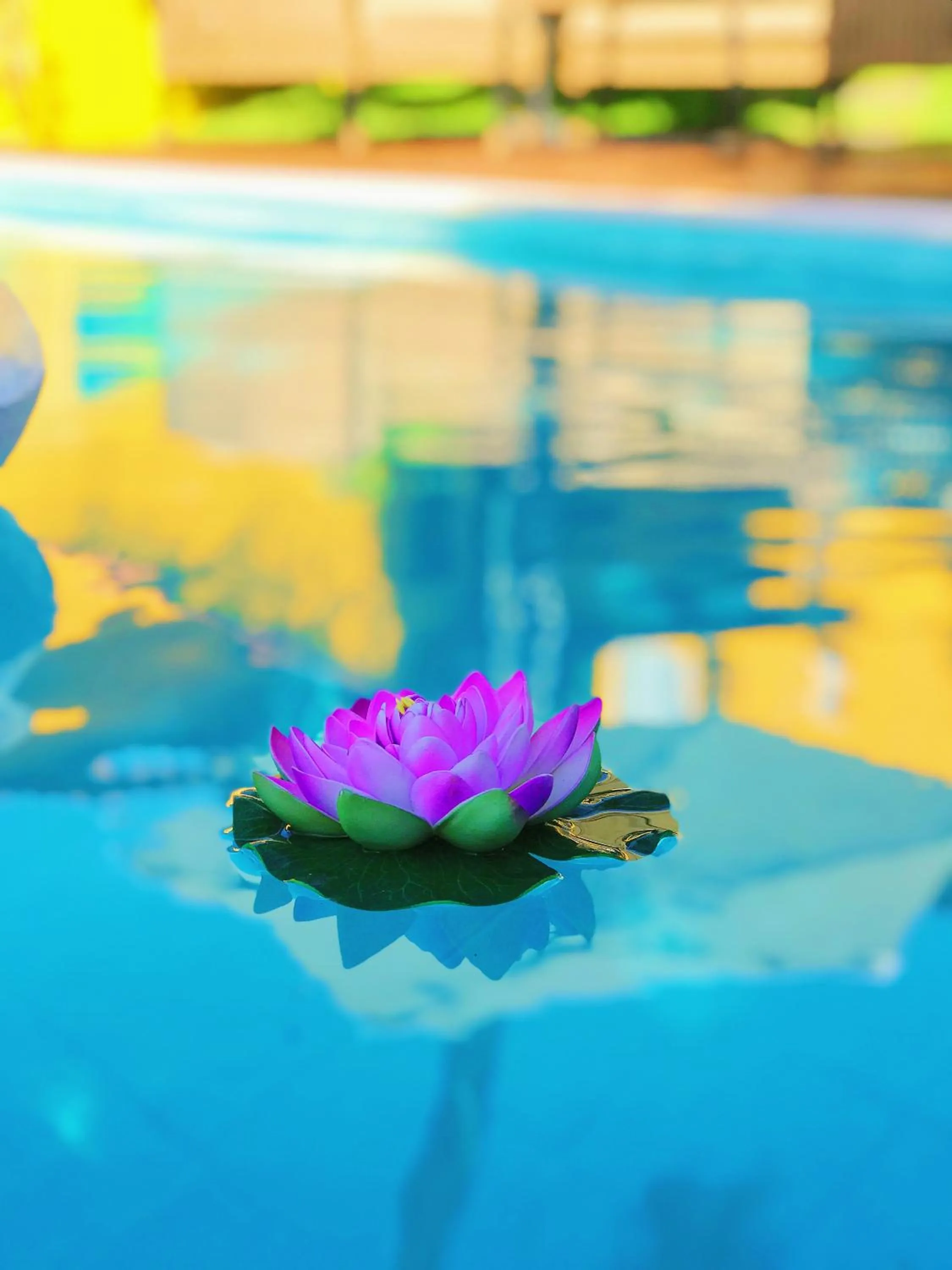 Pool view in Star Búzios Pousada