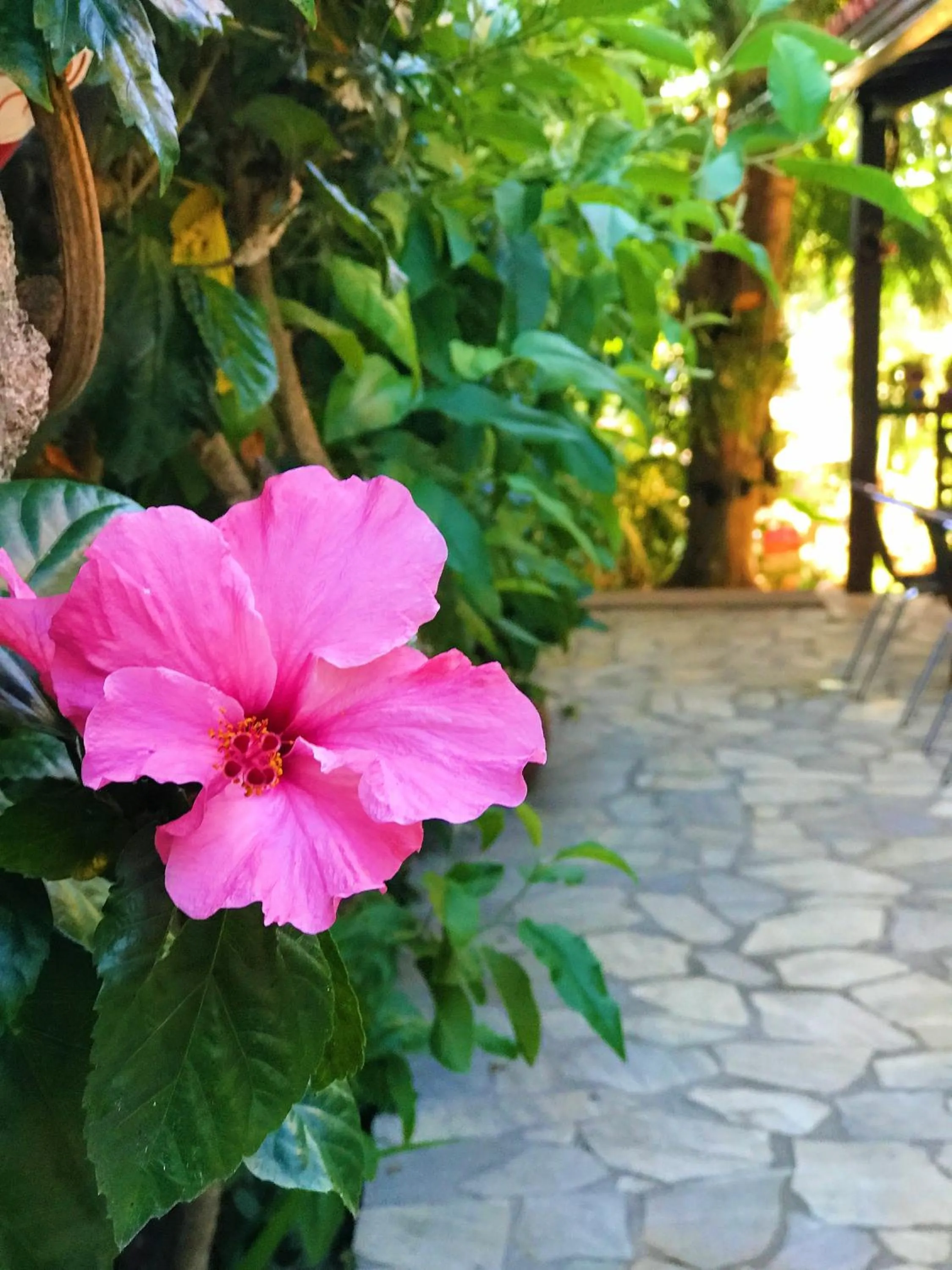 Garden in Star Búzios Pousada
