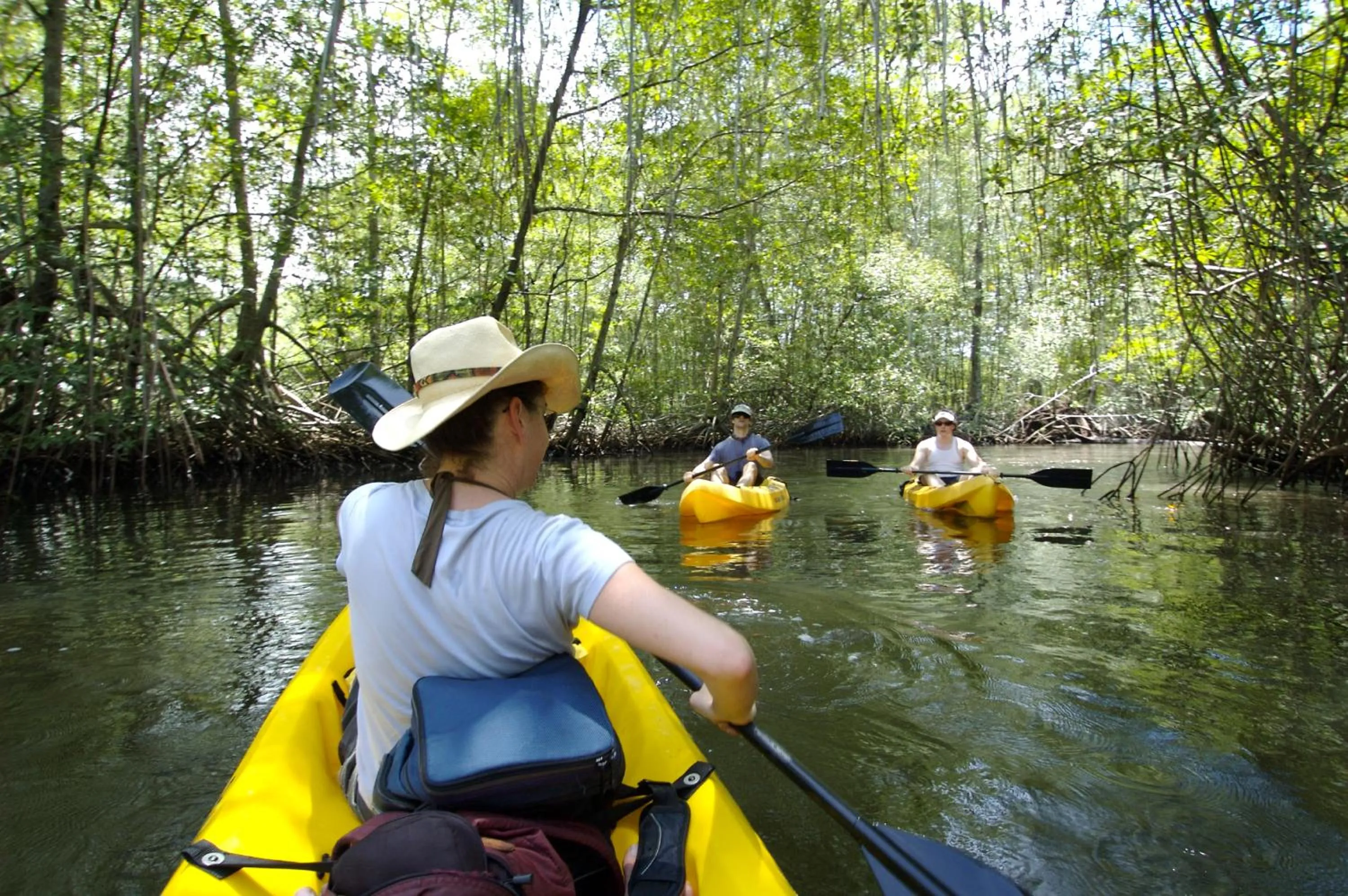 Spring in Las Olas Beach Resort