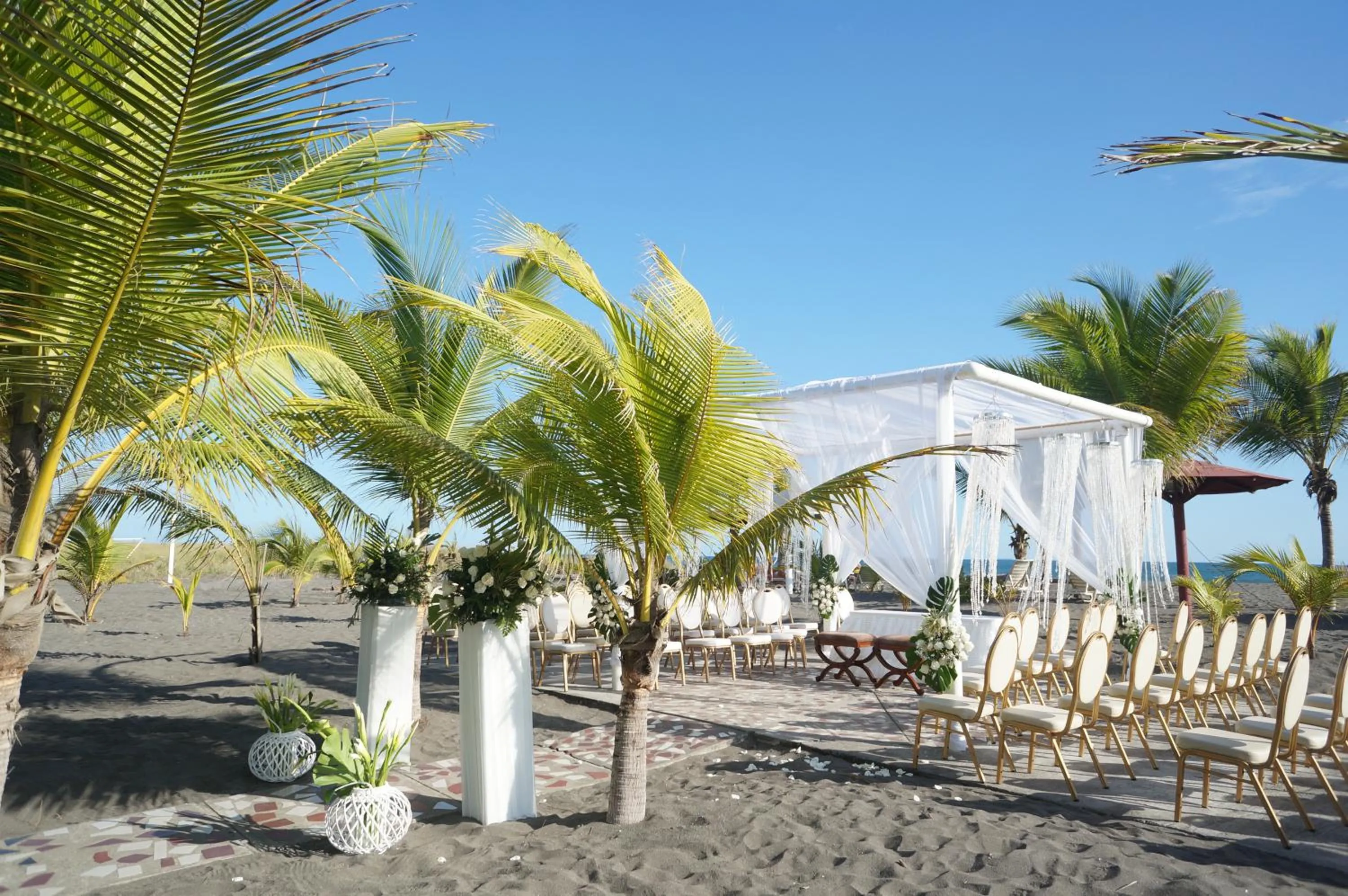 Natural landscape in Las Olas Beach Resort