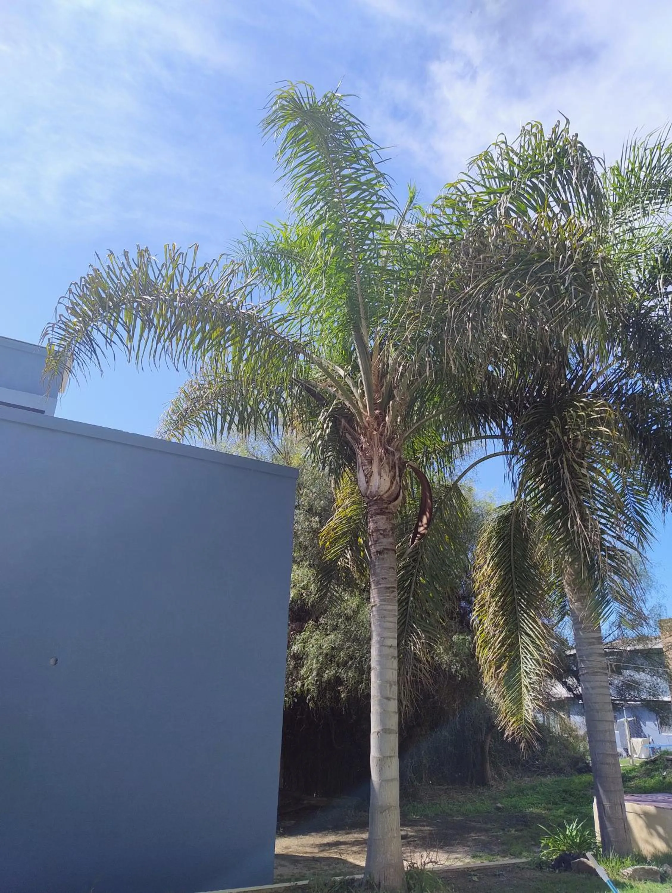 Casa en Barrio Costa Azul