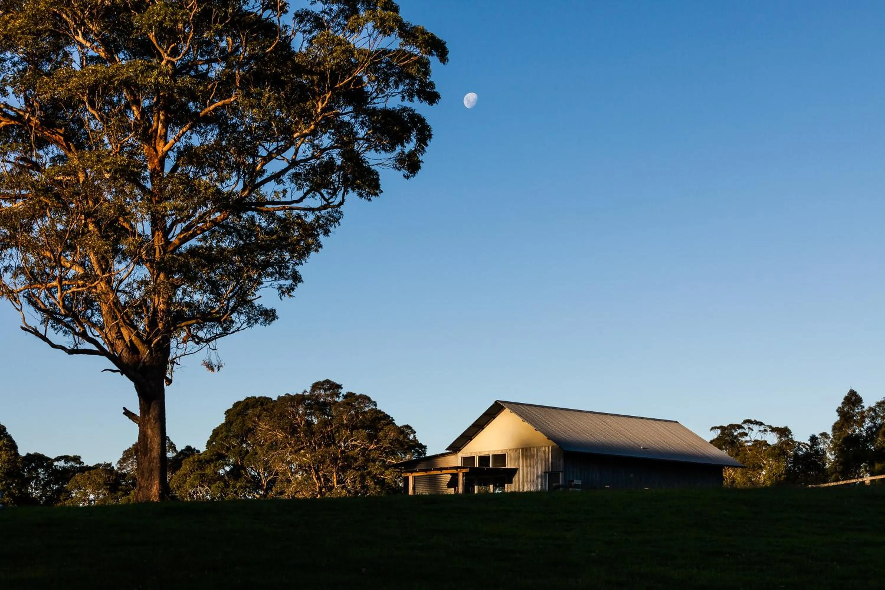 Facade/entrance in Worrowing Jervis Bay