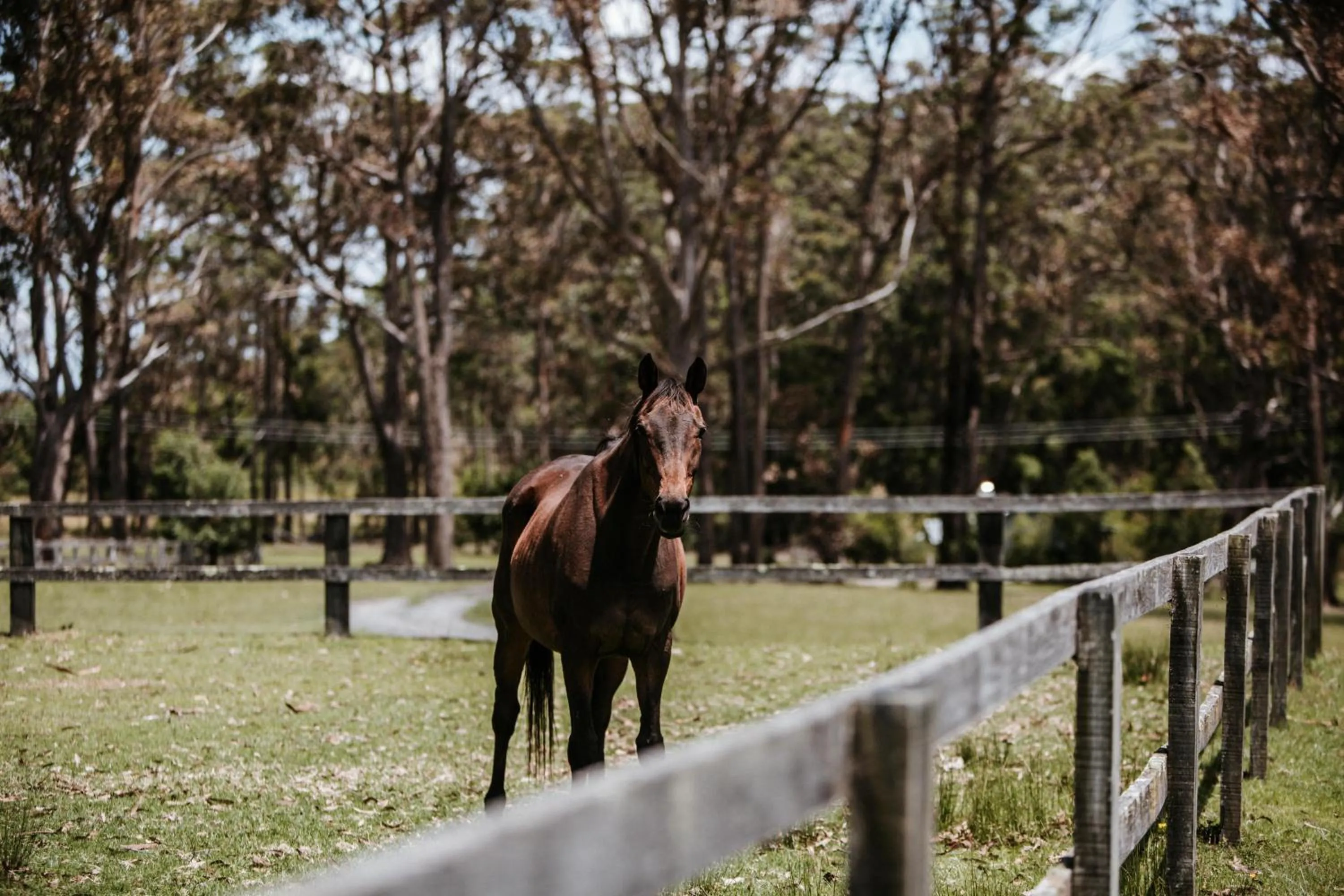 Worrowing Jervis Bay