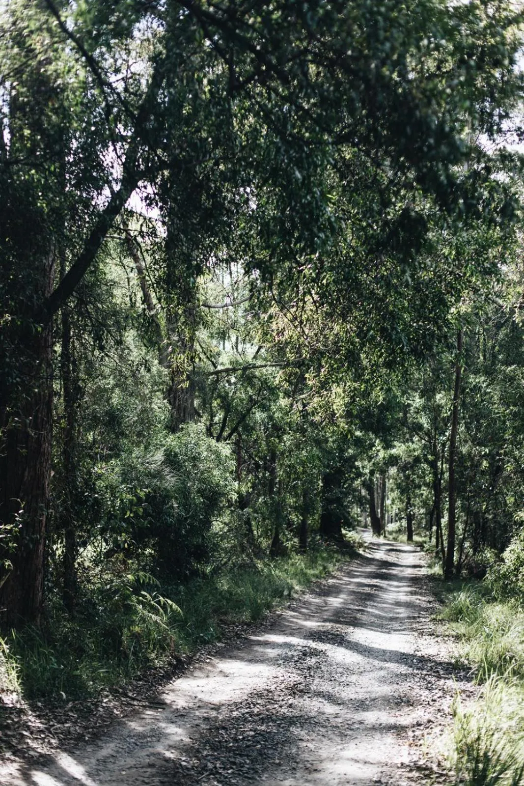 Worrowing Jervis Bay