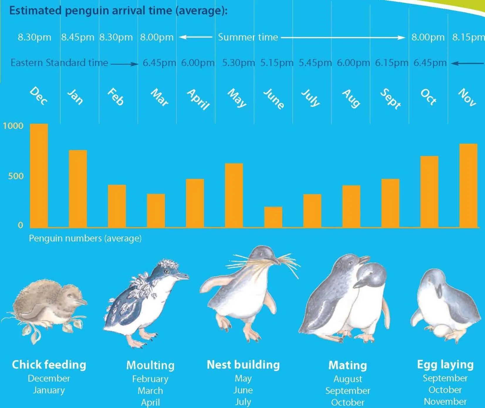 Evening entertainment in Diamond Island Resort, Restaurant & Bar and Penguin Show
