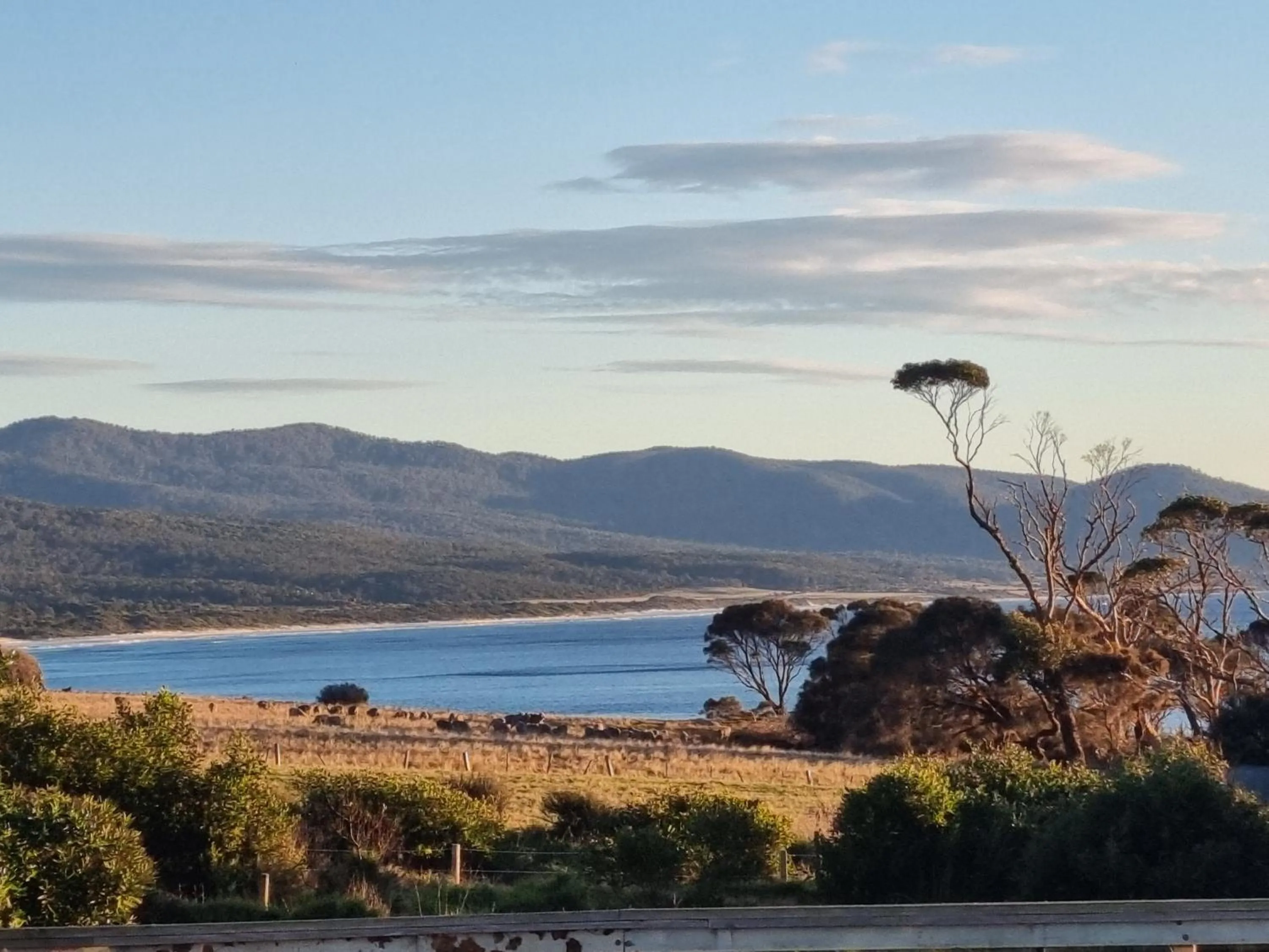 Natural landscape in Diamond Island Resort, Restaurant & Bar and Penguin Show
