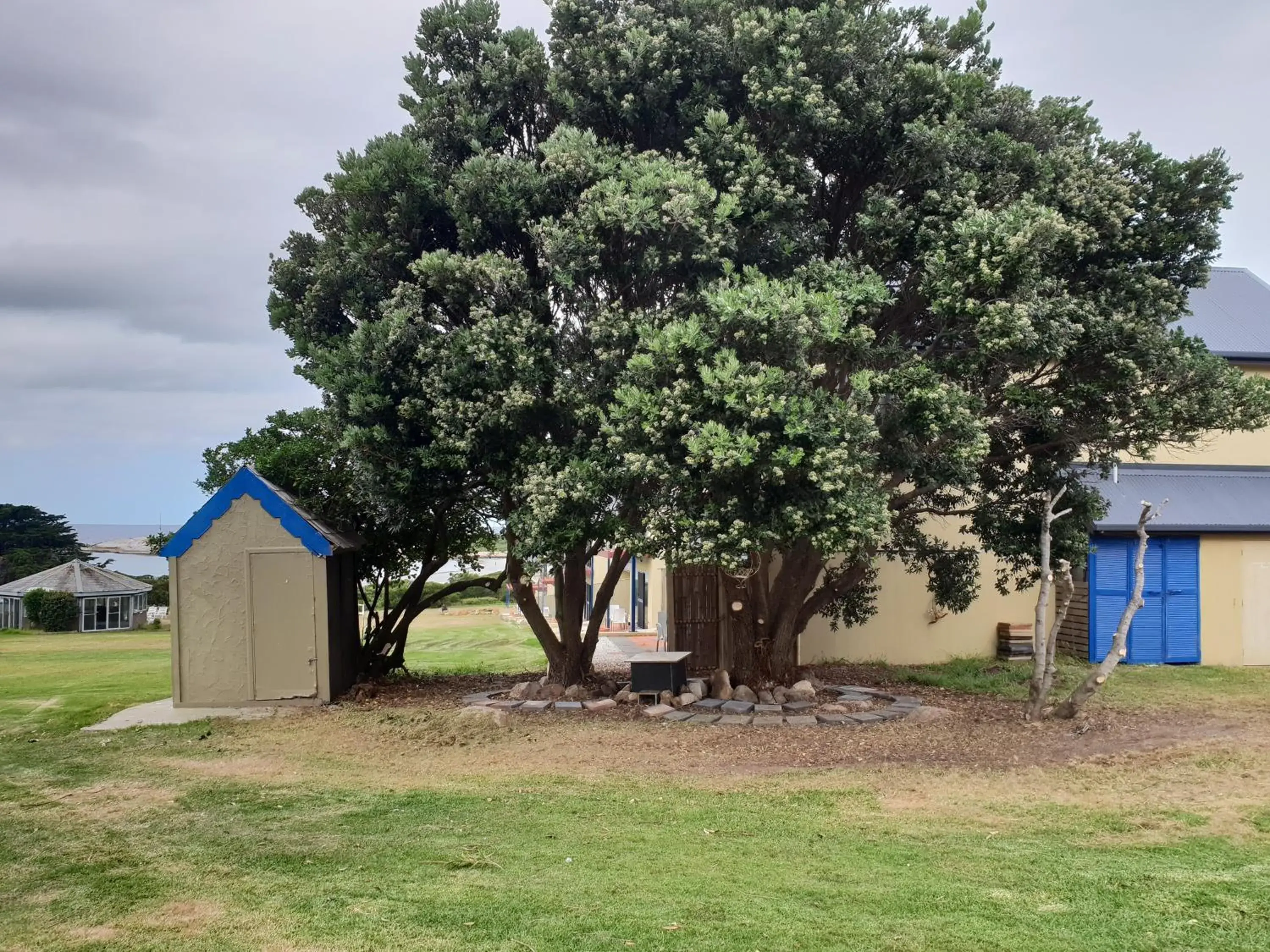 Property building in Diamond Island Resort, Restaurant & Bar and Penguin Show Property building in Diamond Island Resort, Restaurant & Bar and Penguin Show