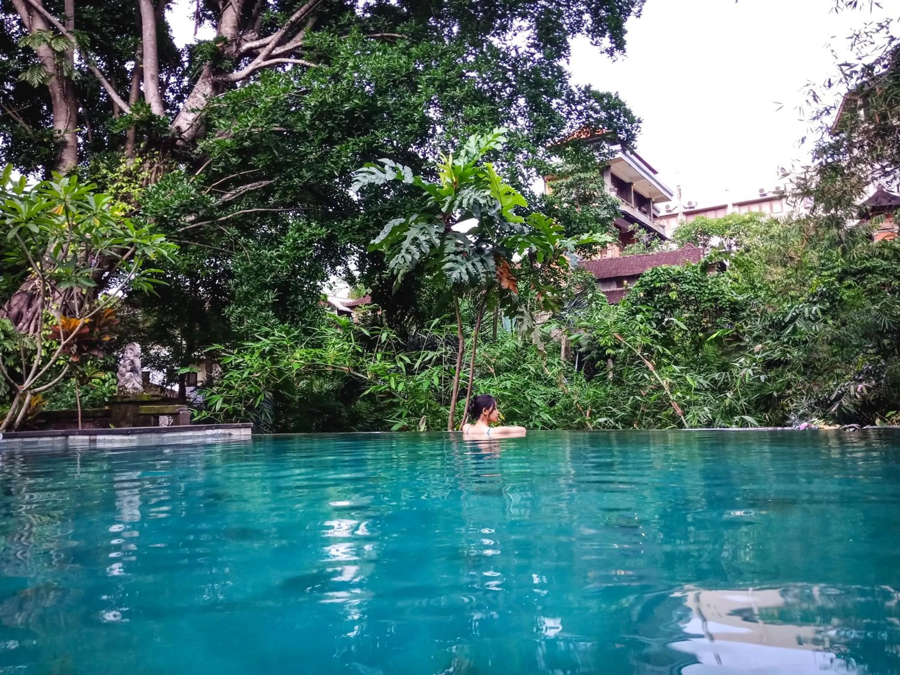 Swimming pool in Yuliati House Ubud