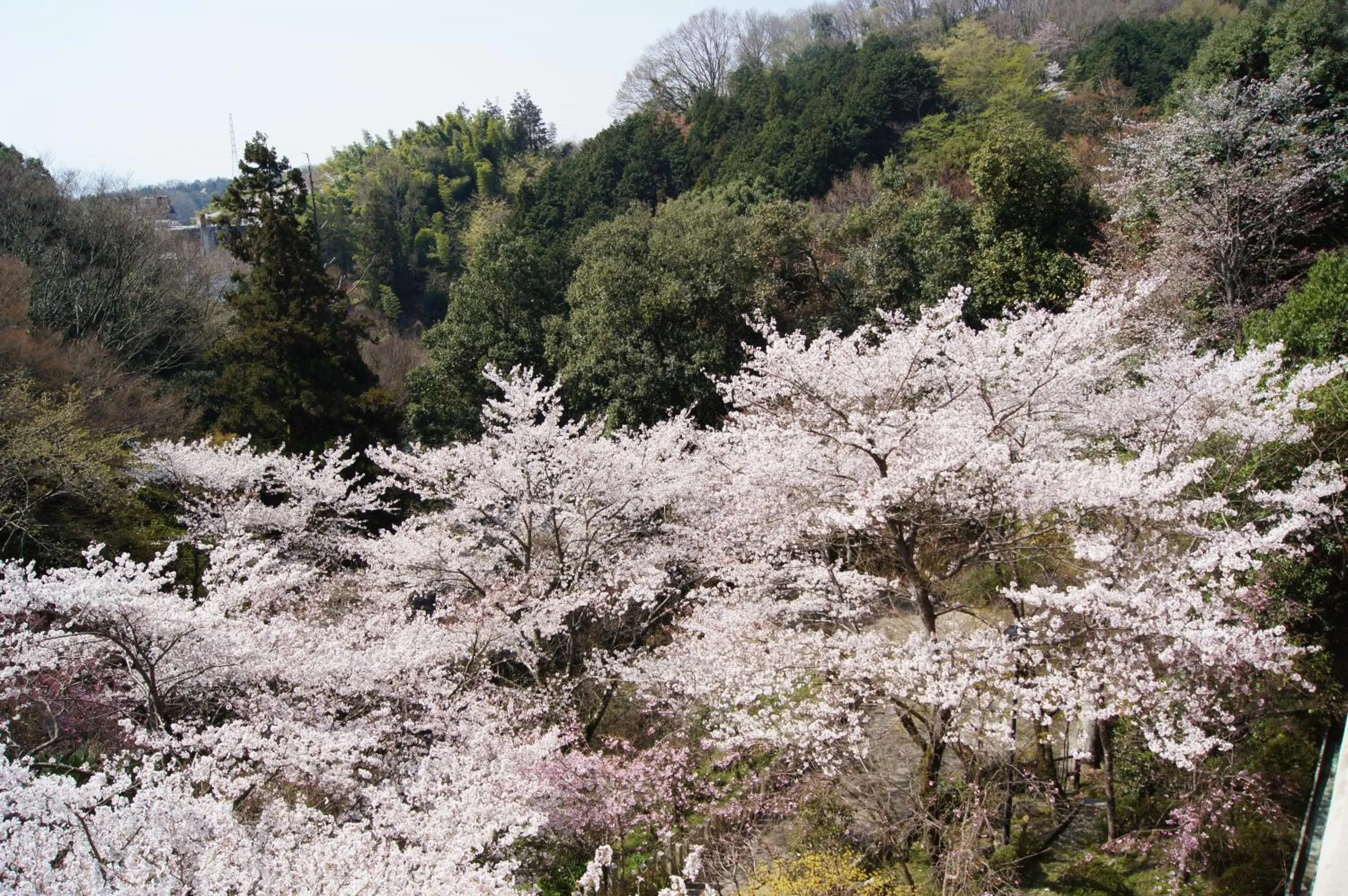 Garden view in Gyokuzoin