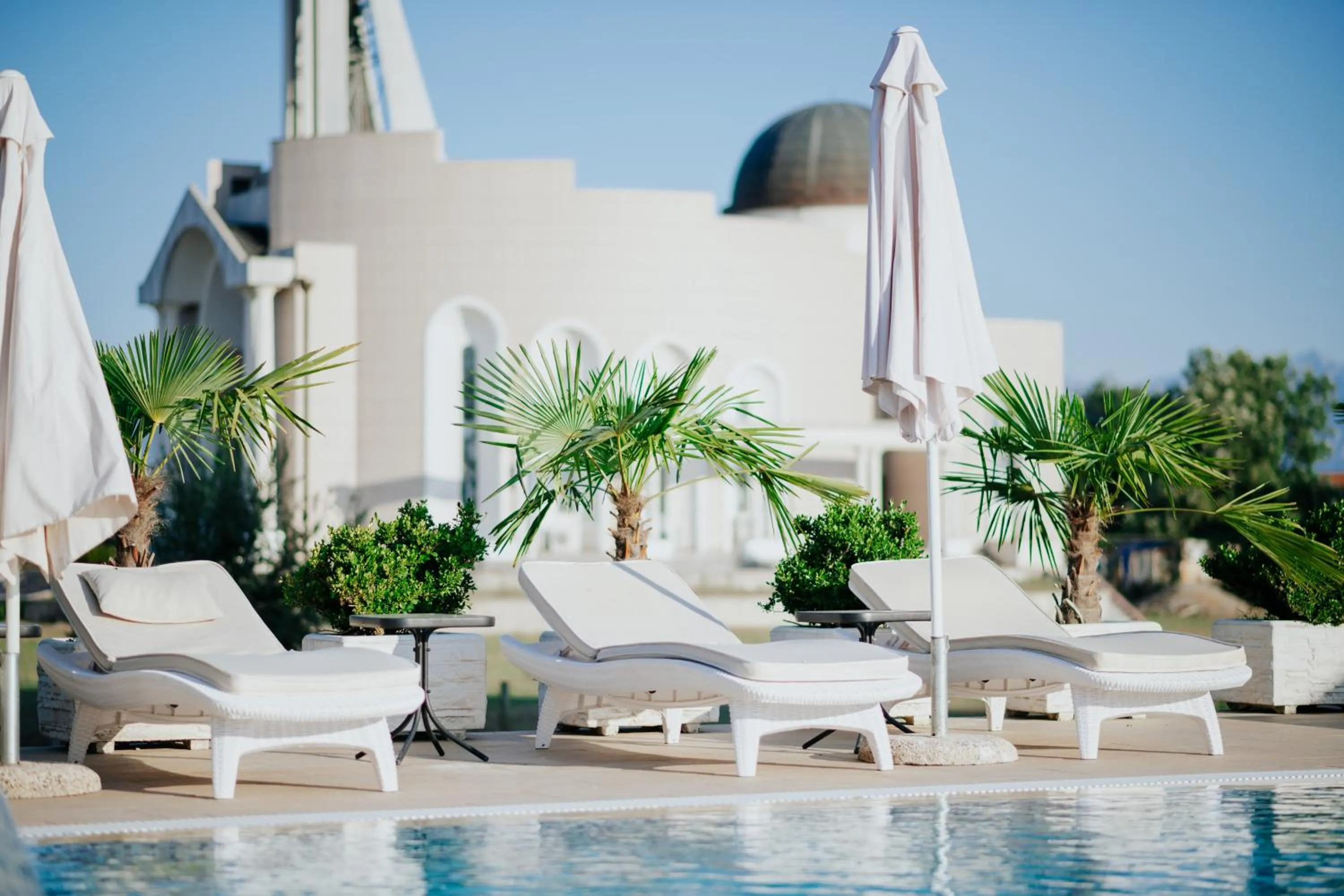 Swimming pool in Hotel Lion