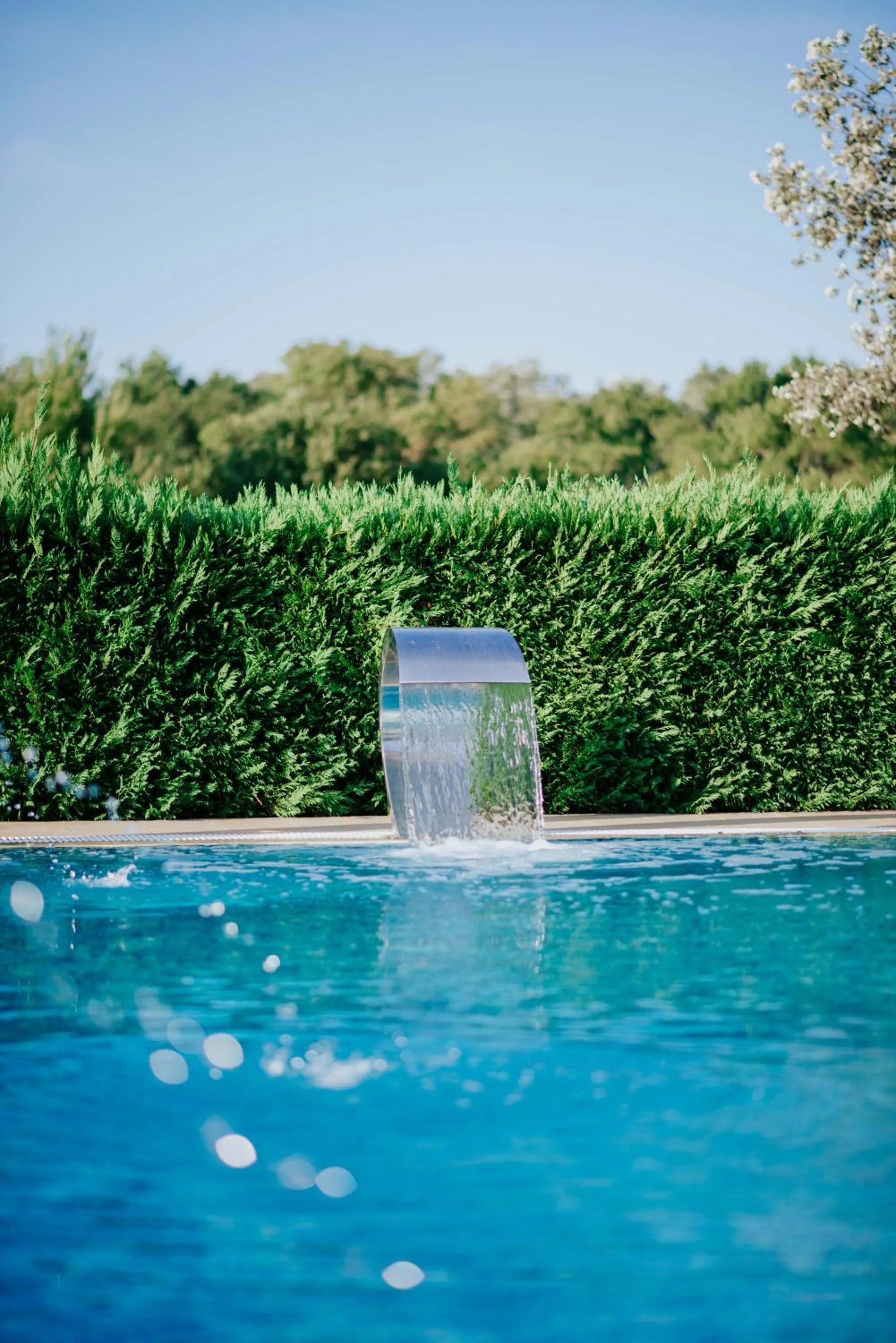 Swimming pool in Hotel Lion