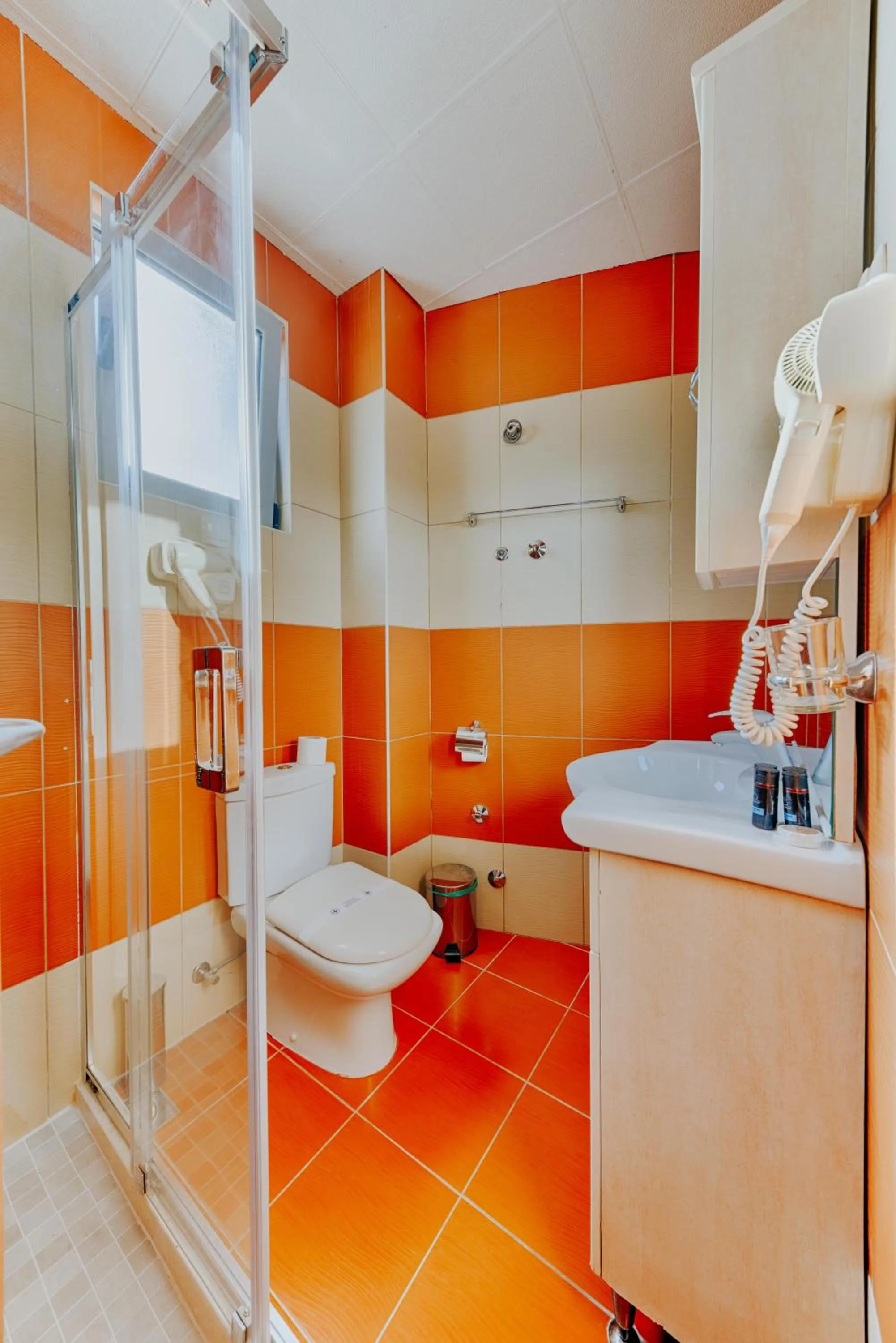 Bathroom in Hotel Lion