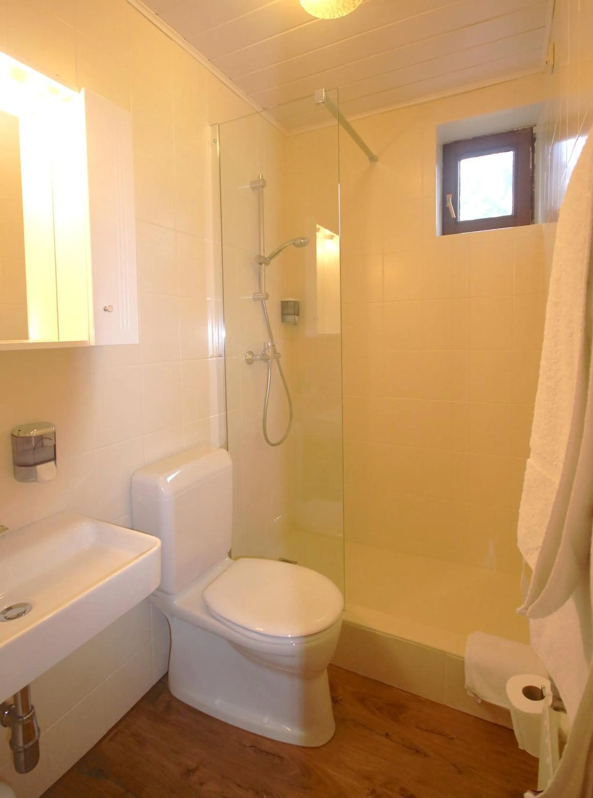 Bathroom in Hotel Altmann