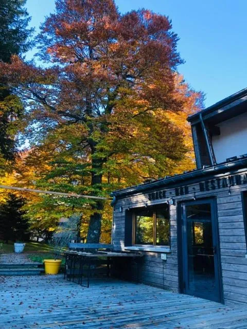 Hôtel Le P'tit Cham, au pied du Sancy