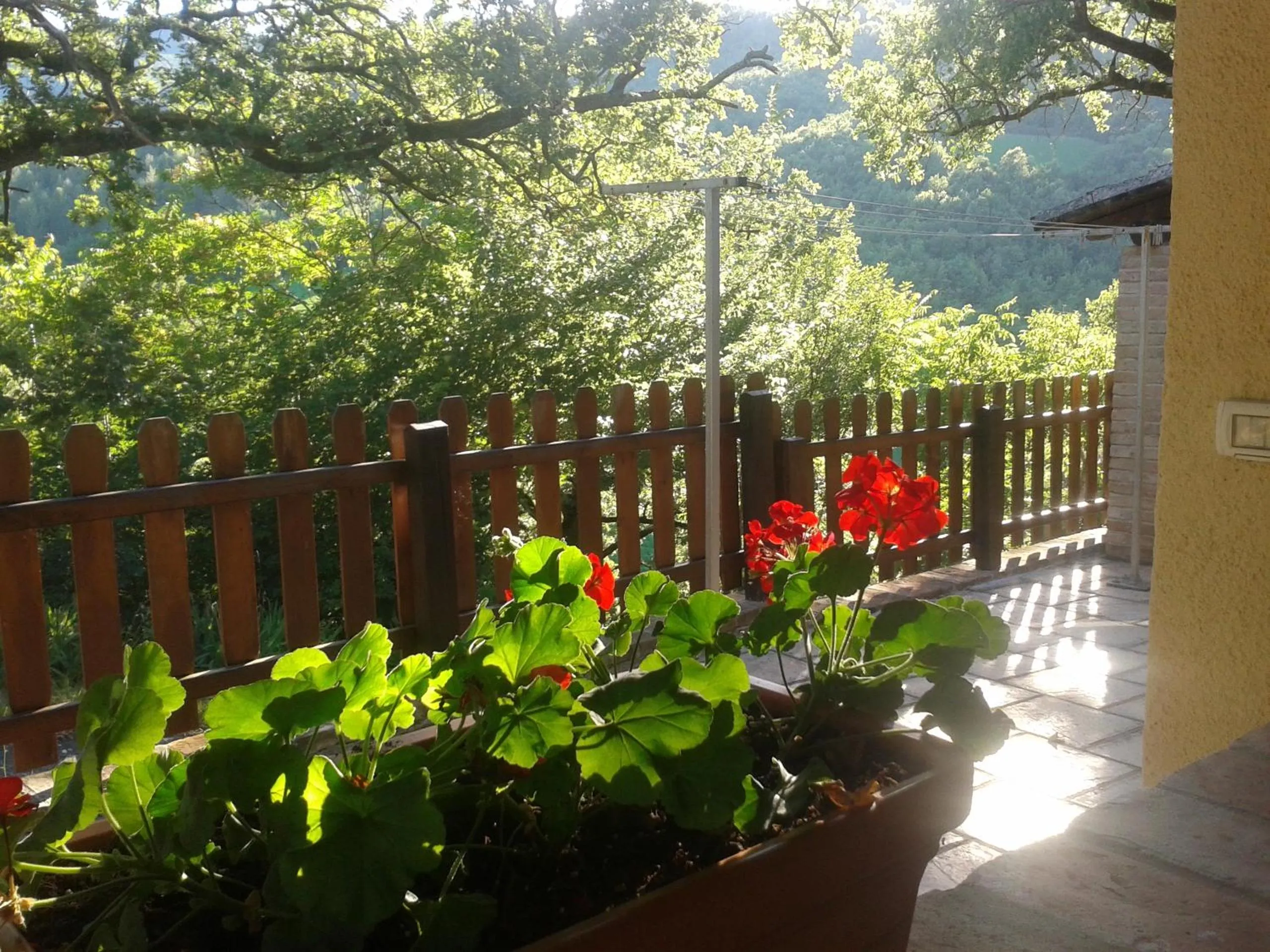 Agriturismo Orsaiola
