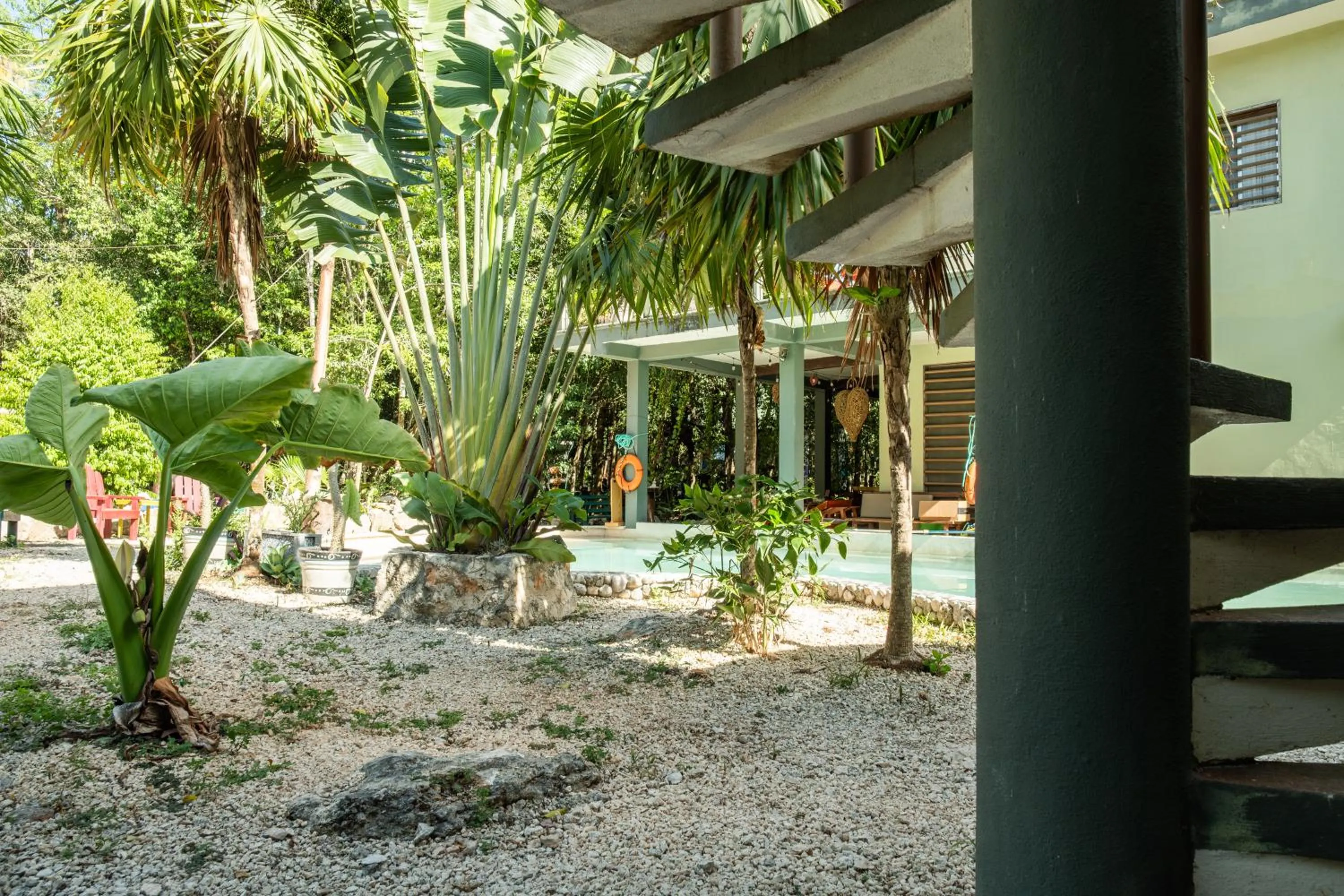 Garden view in Hokhmah Heart Hotel