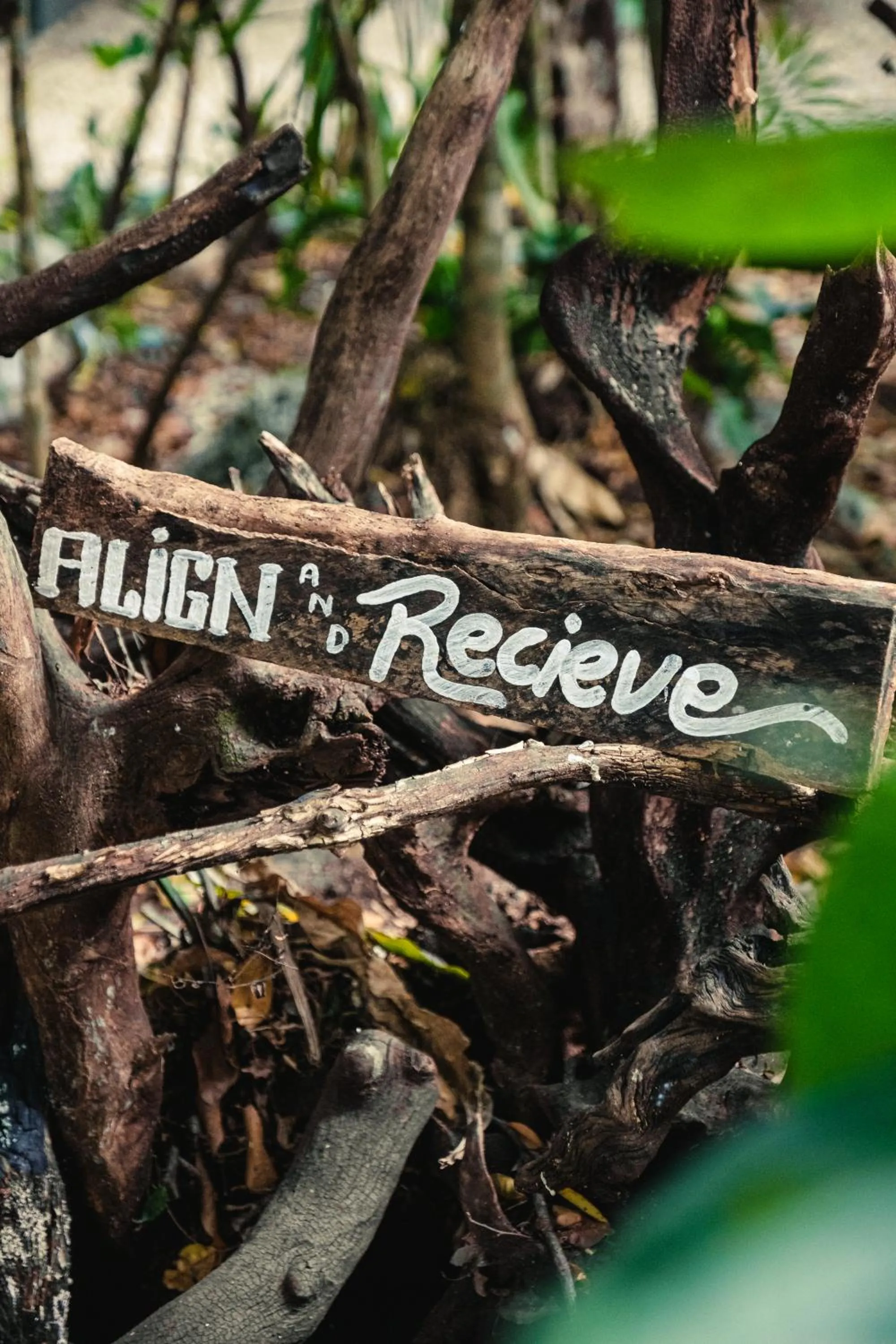 Decorative detail in Hokhmah Heart Hotel
