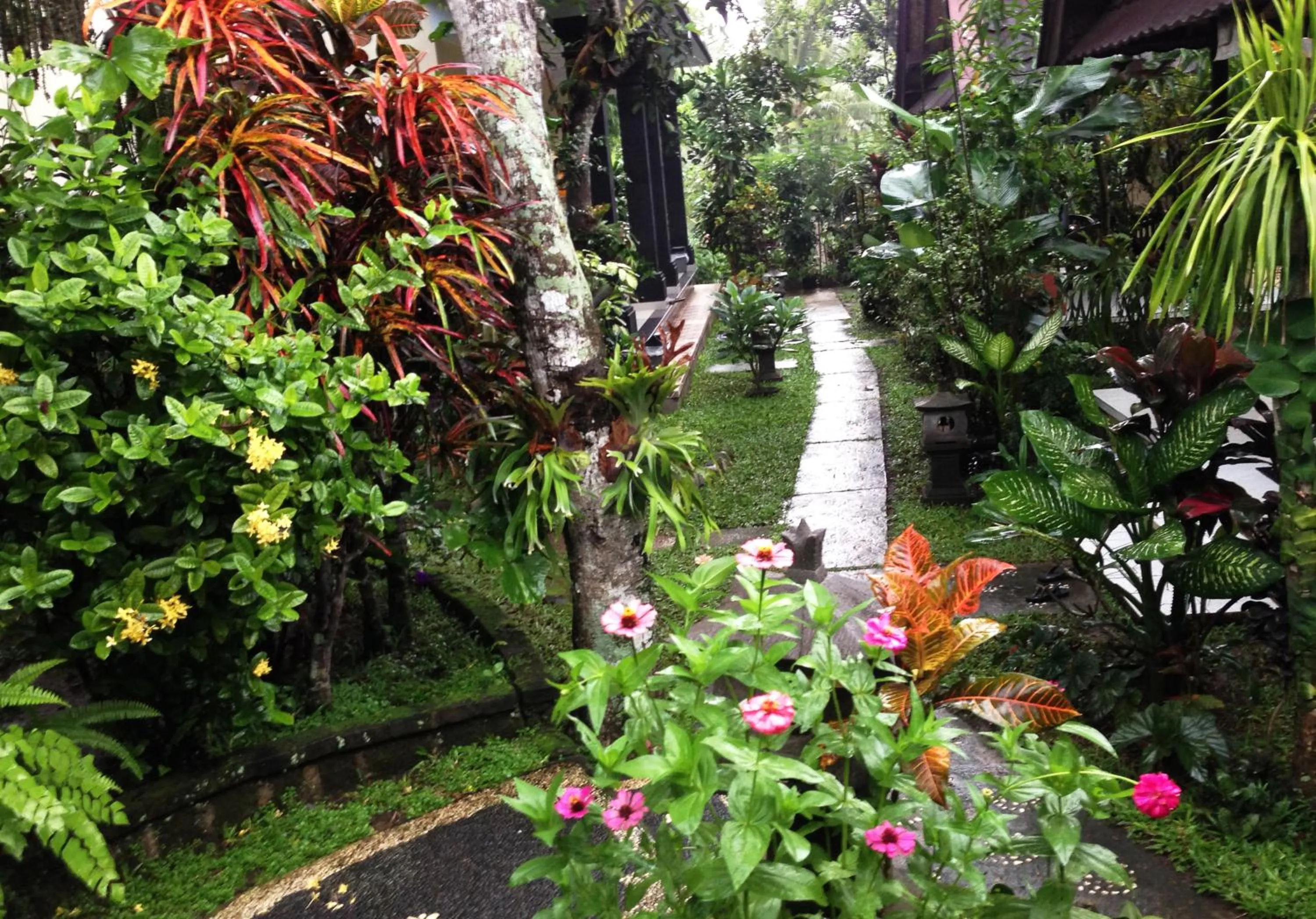 Natural landscape in Pondok Bambu Homestay