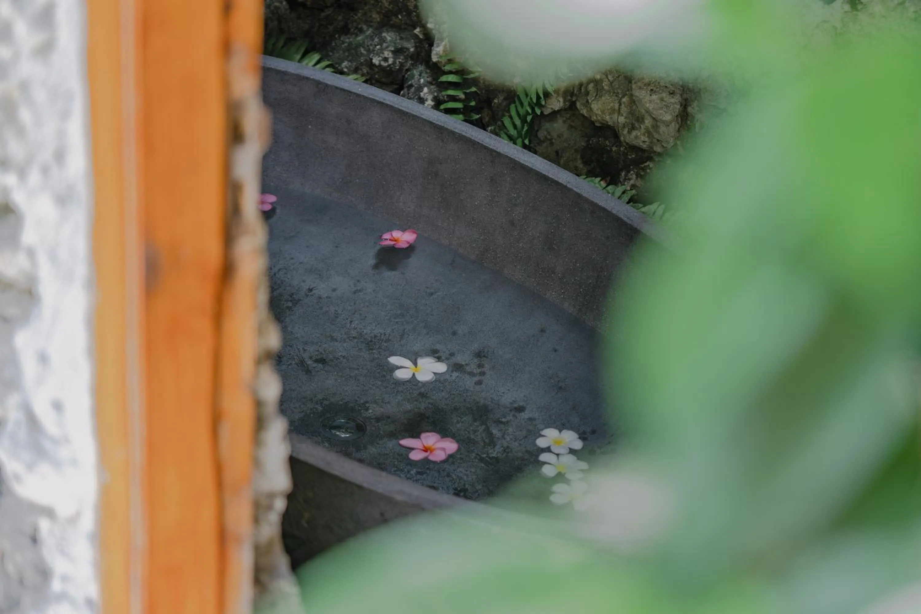 Bath in The Onion Collective