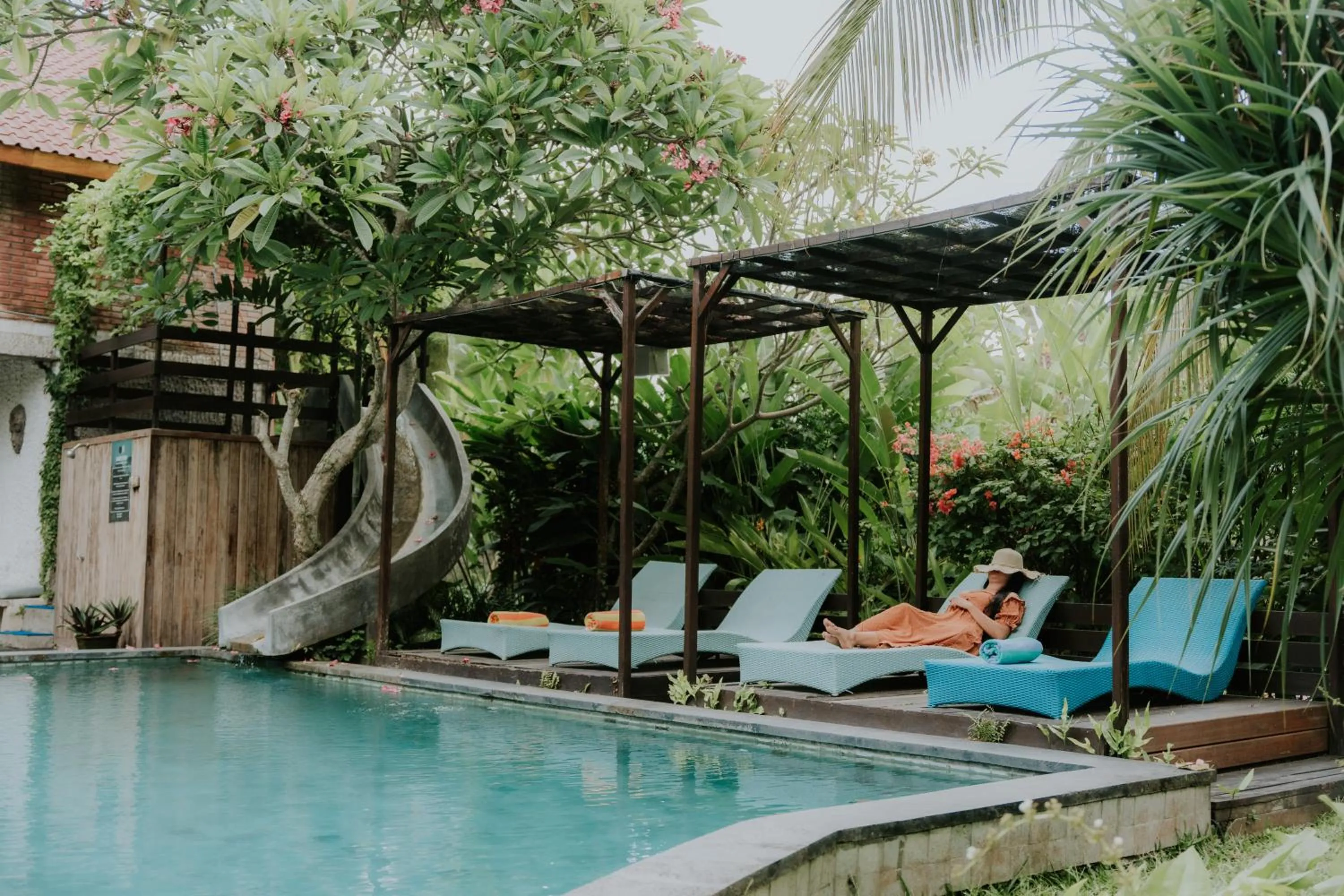 Natural landscape in The Onion Collective