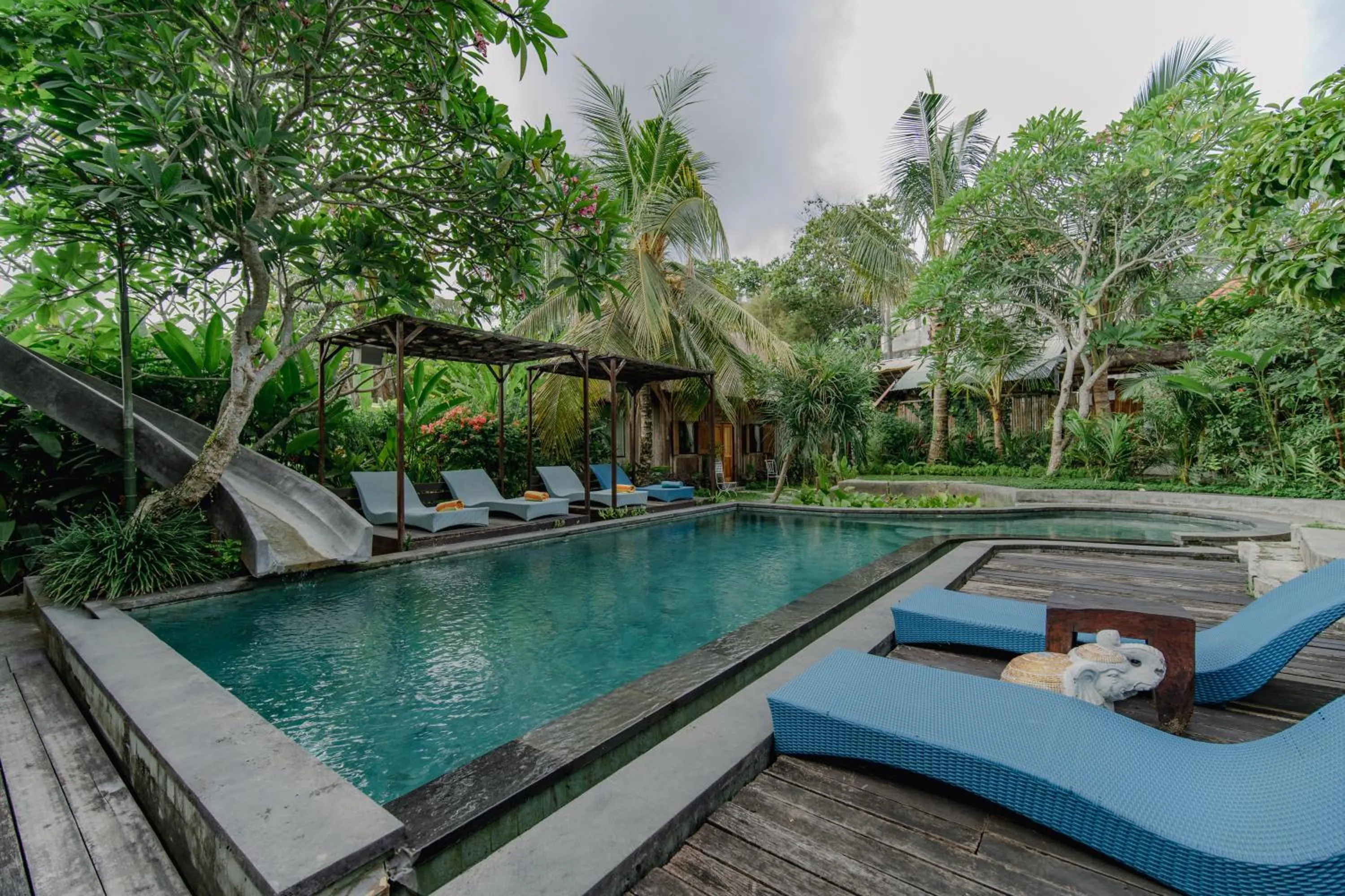 Natural landscape in The Onion Collective