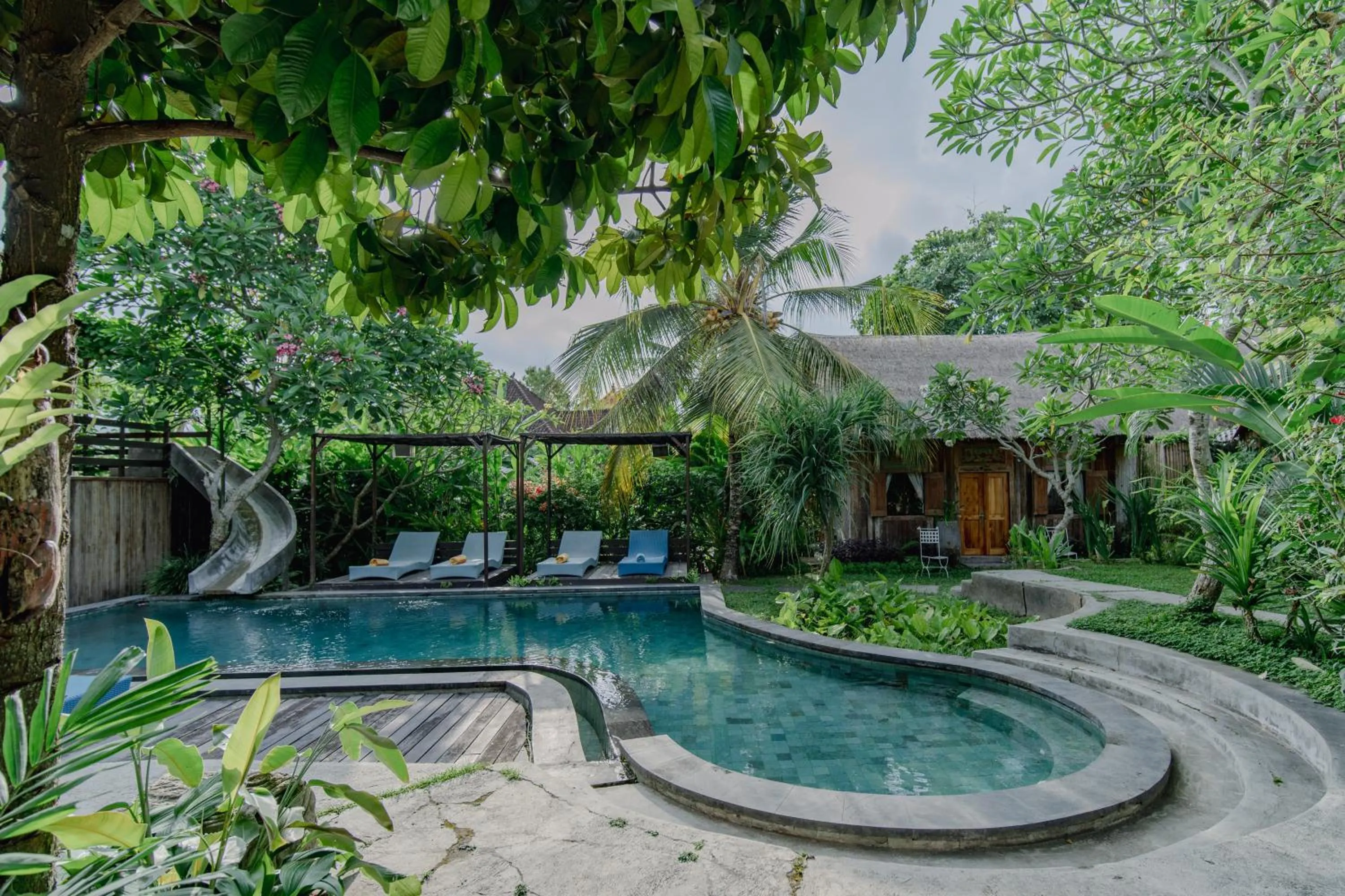 Garden in The Onion Collective