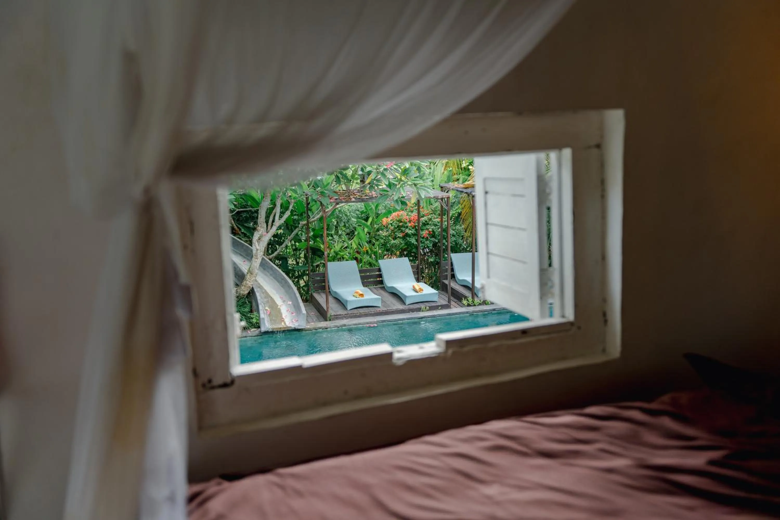 Pool view in The Onion Collective