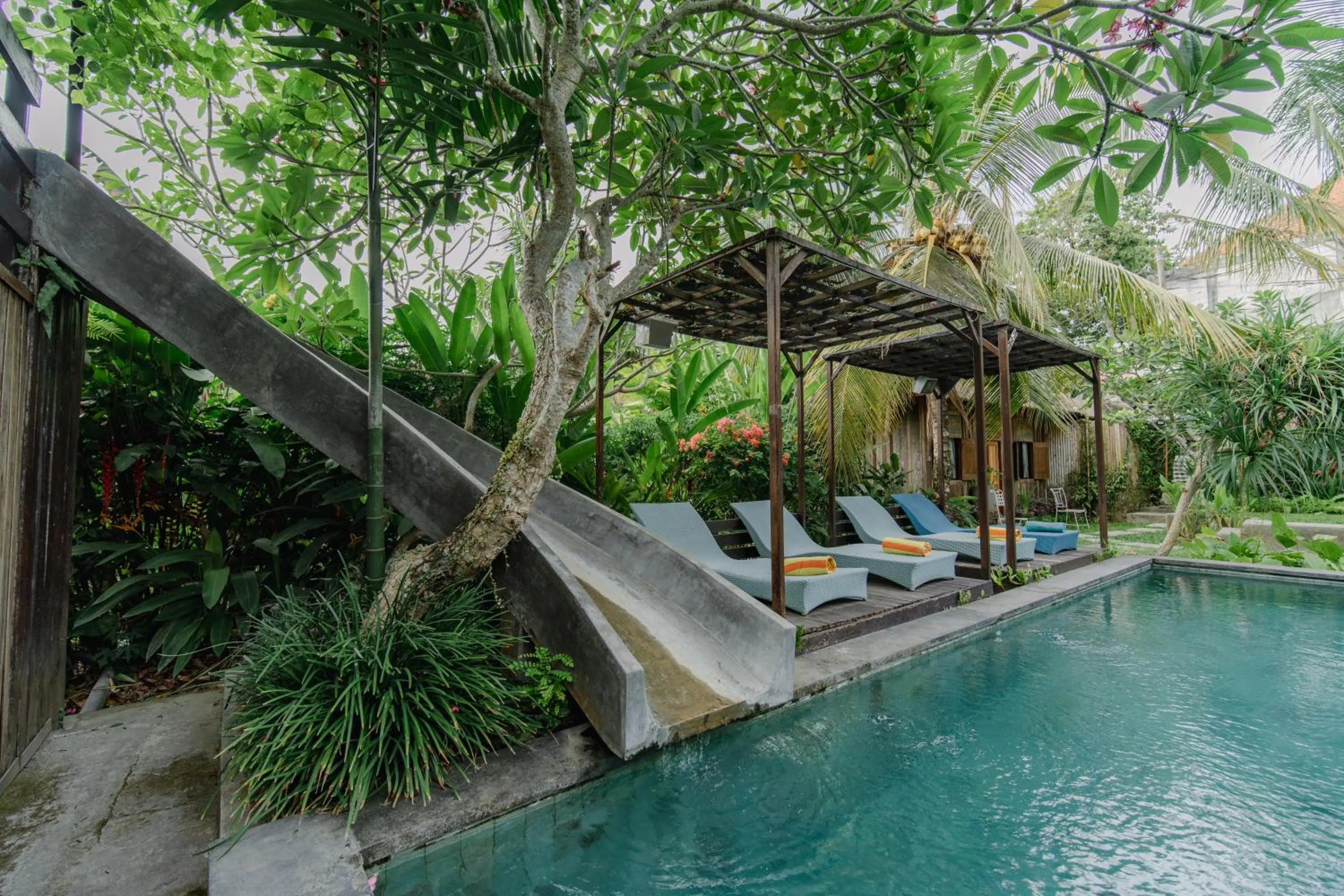 Natural landscape in The Onion Collective